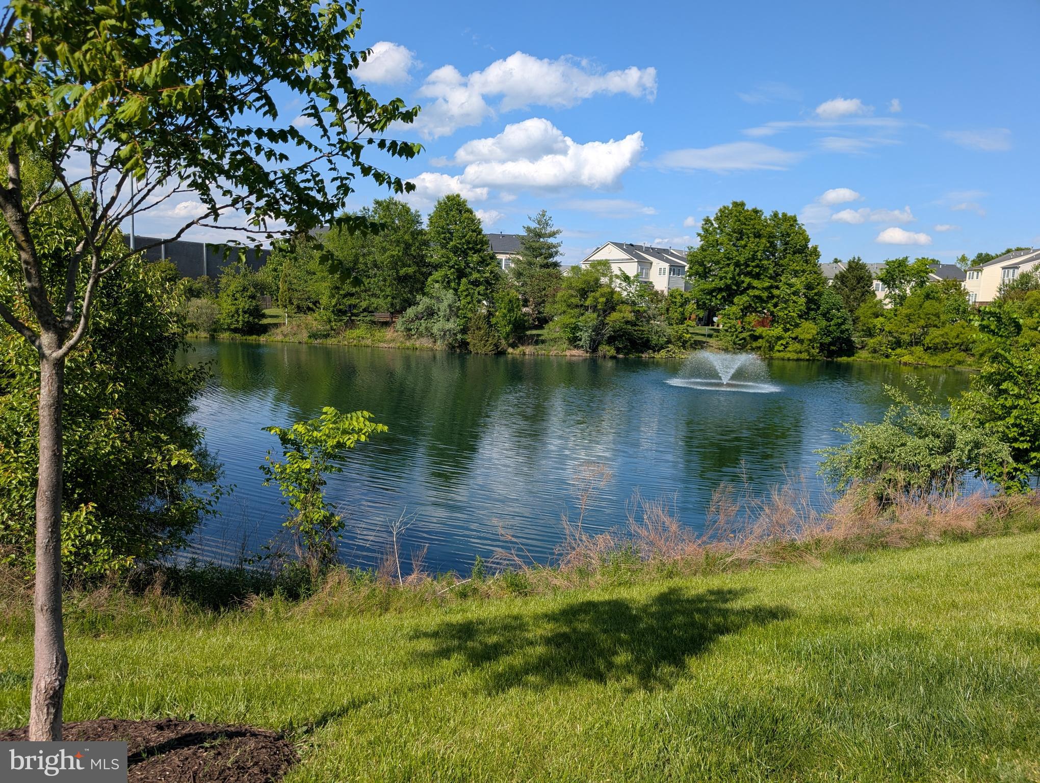 13598 LAVENDER MIST LANE