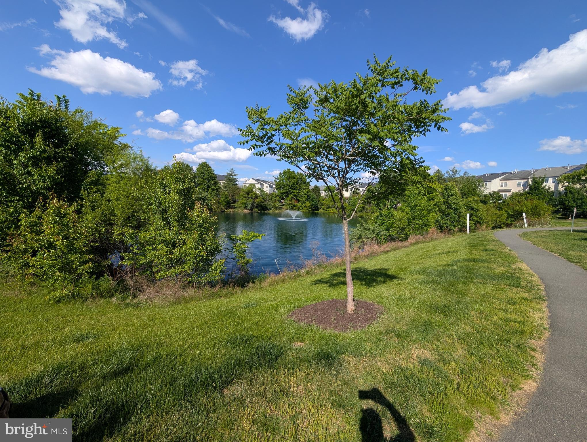 13598 LAVENDER MIST LANE