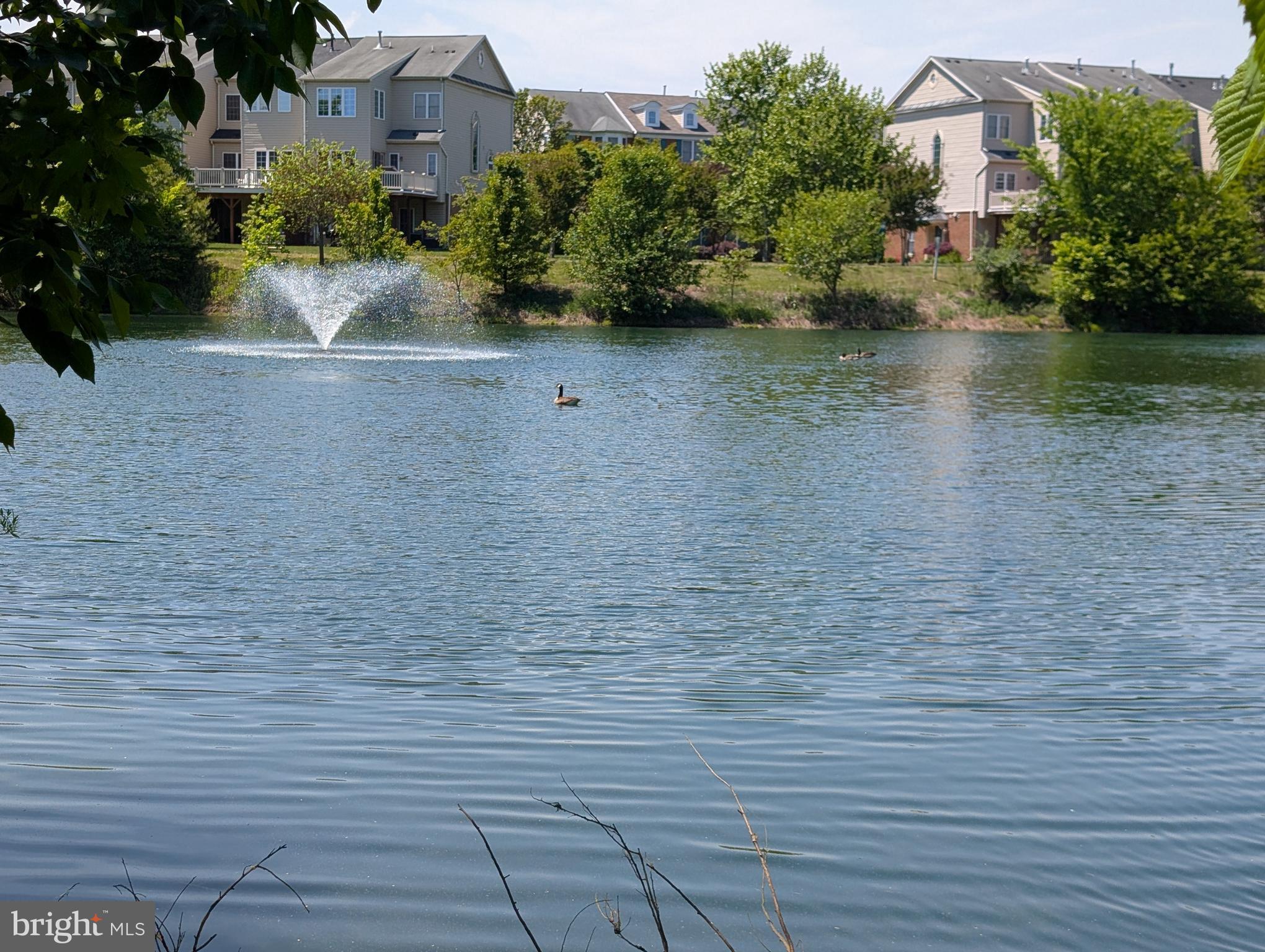 13598 LAVENDER MIST LANE