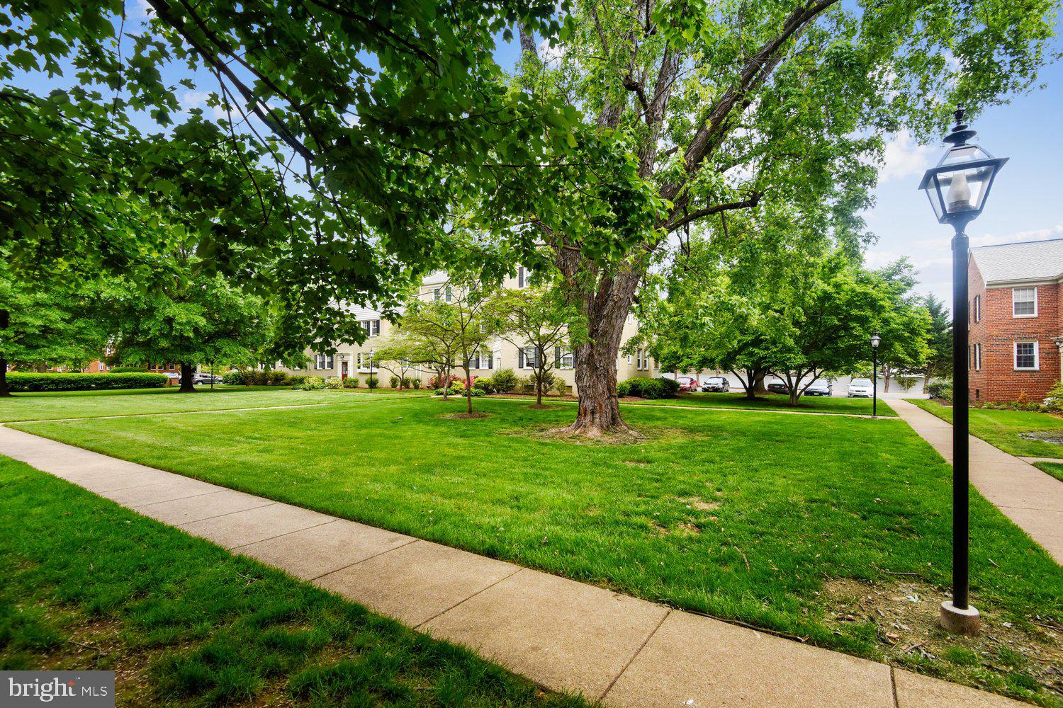 6513 POTOMAC AVENUE A-1