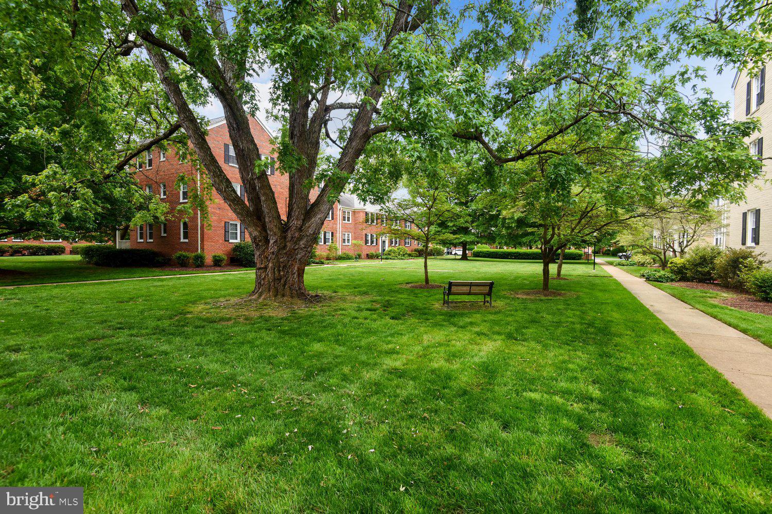 6513 POTOMAC AVENUE A-1