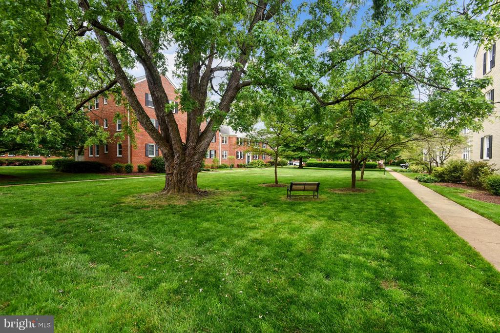 6513 POTOMAC AVENUE A-1