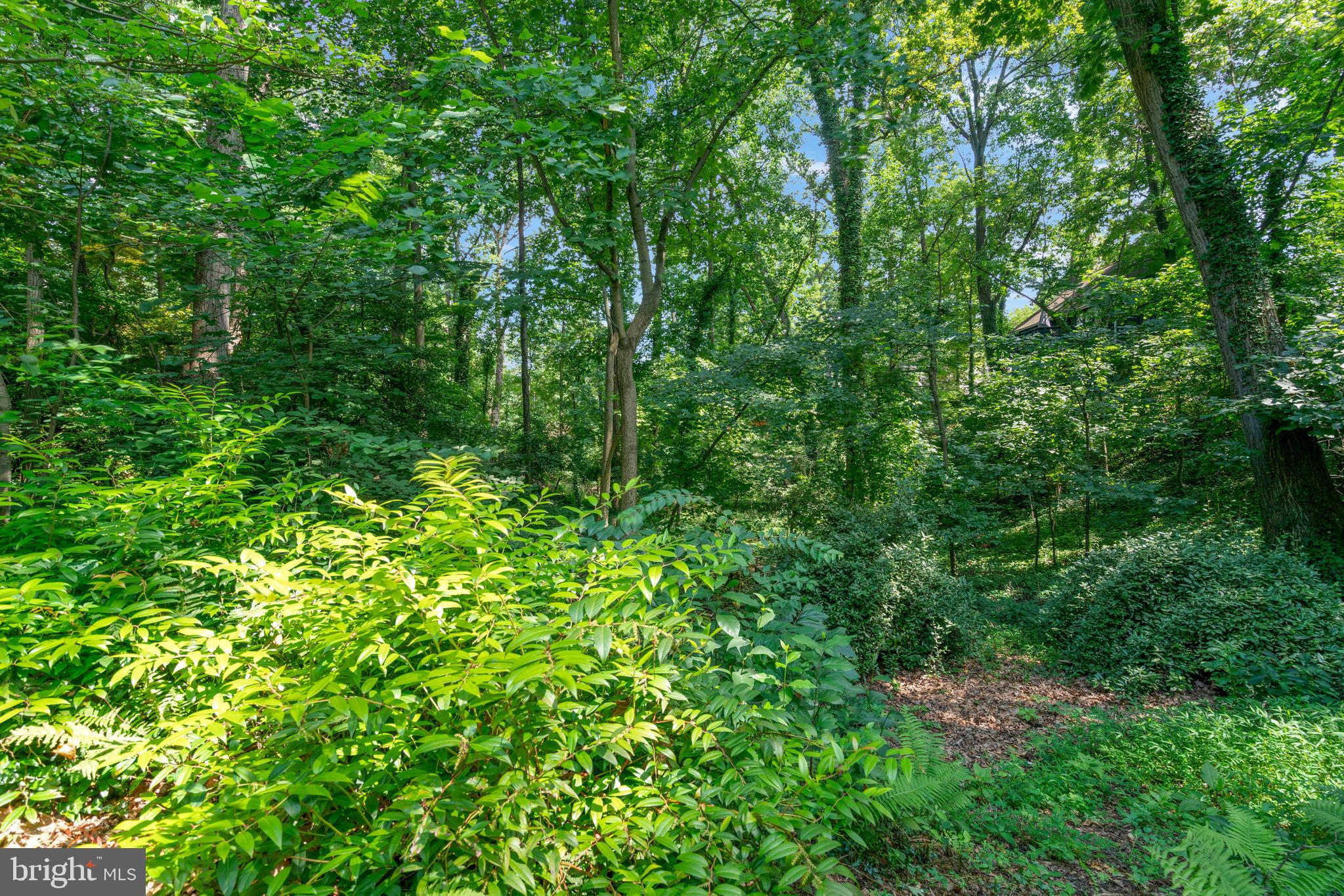 1715 HOLLINWOOD DRIVE