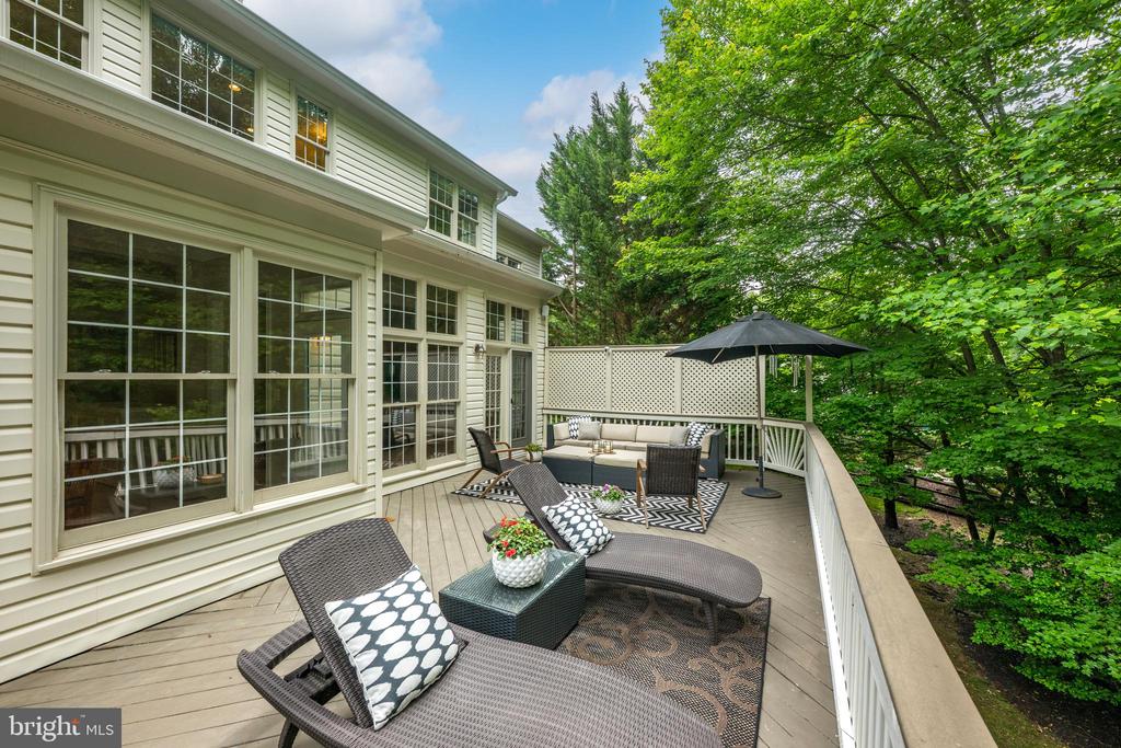 11885 SHAKER MEADOWS COURT
