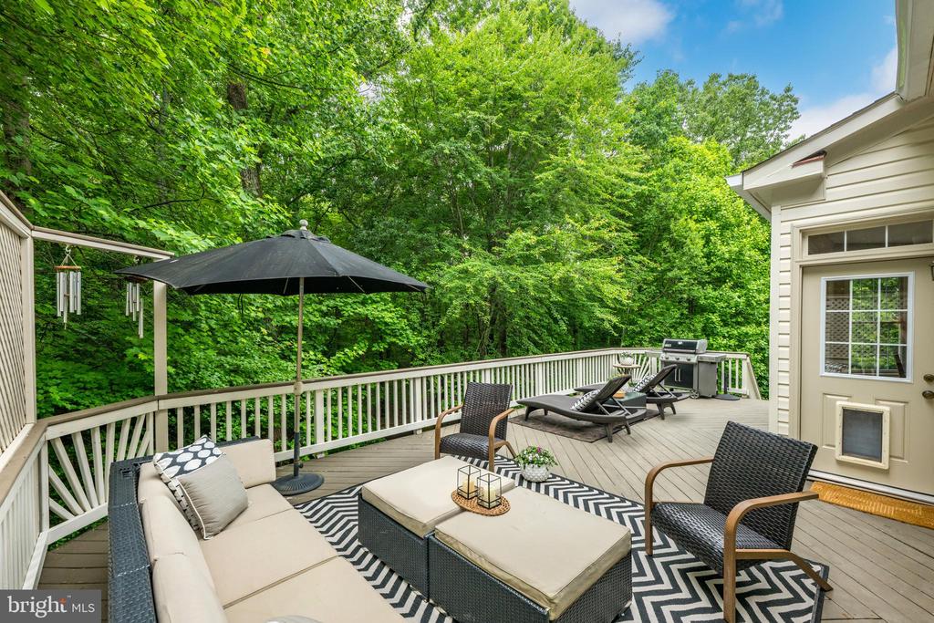 11885 SHAKER MEADOWS COURT