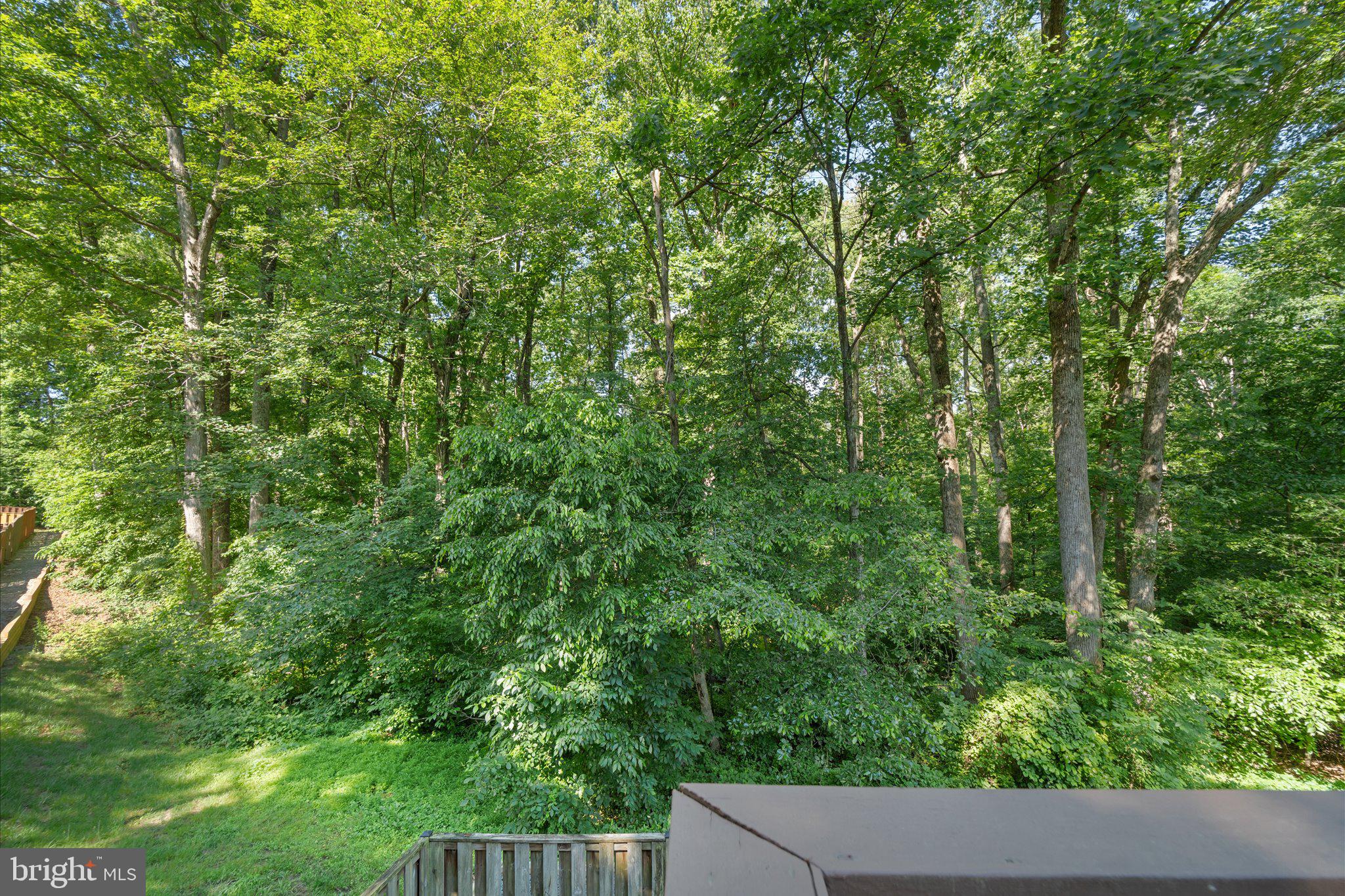 8256 BURNING FOREST COURT