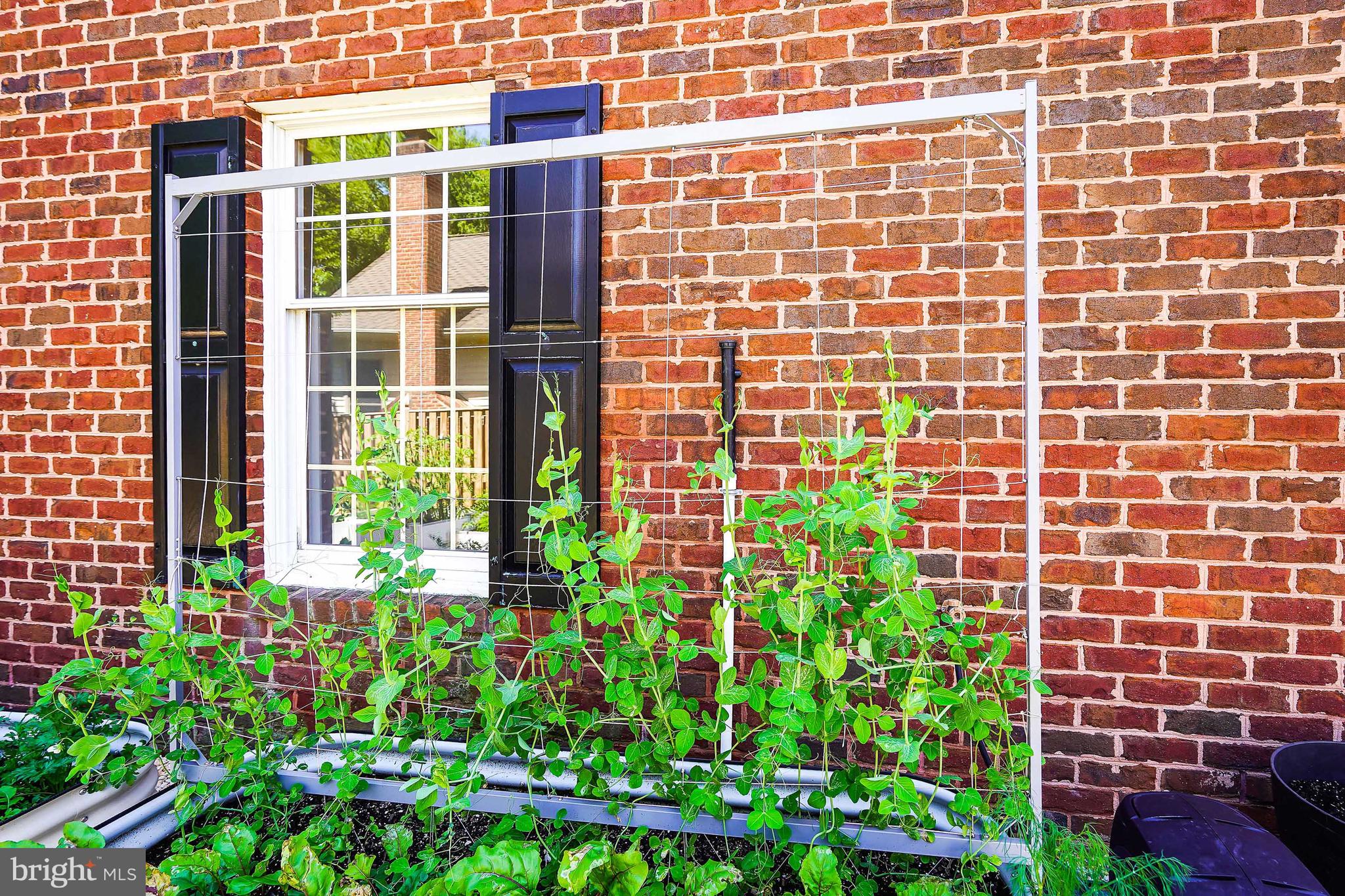 2515 HALTERBREAK COURT