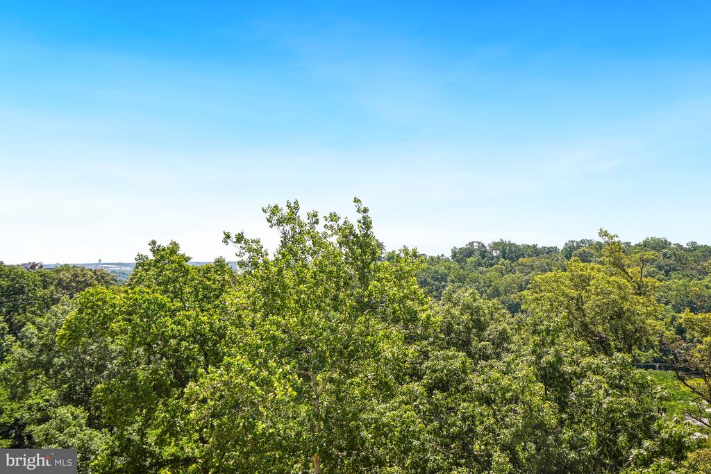 5904 MOUNT EAGLE DRIVE Unit: 614