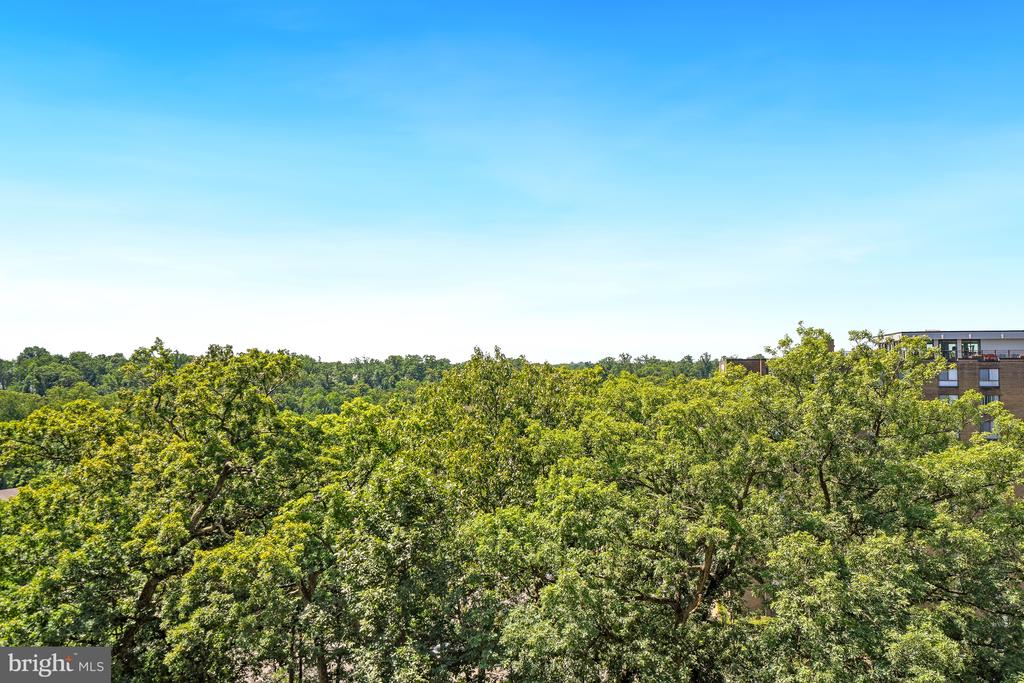 5904 MOUNT EAGLE DRIVE Unit: 614