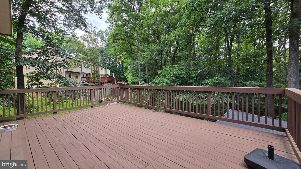 8256 BURNING FOREST COURT
