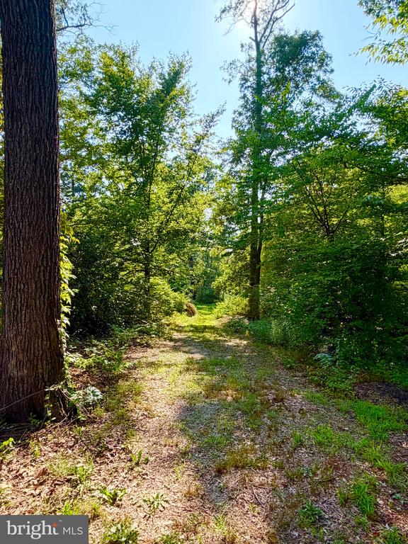 1208 SHENANDOAH ROAD