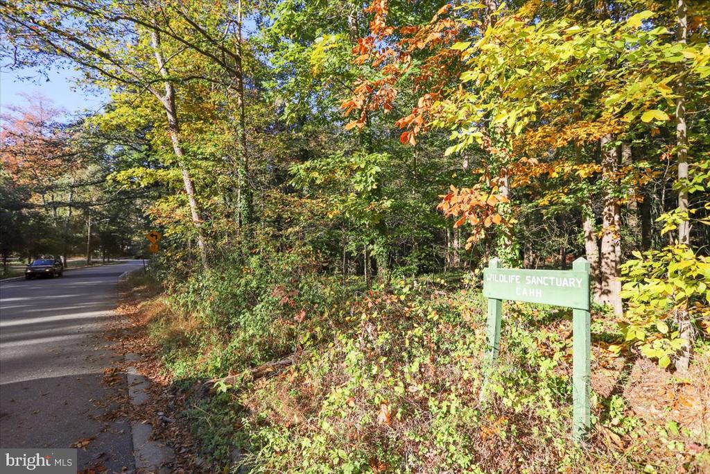 1208 SHENANDOAH ROAD