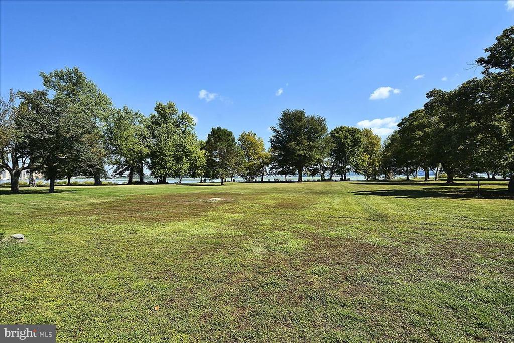 1208 SHENANDOAH ROAD