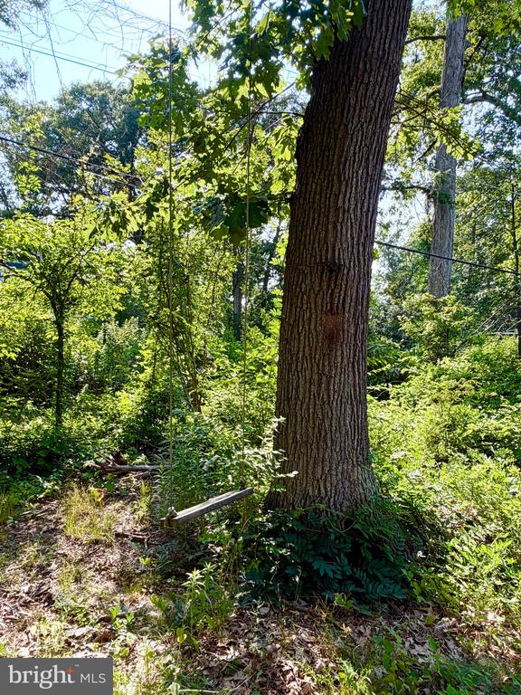 1208 SHENANDOAH ROAD