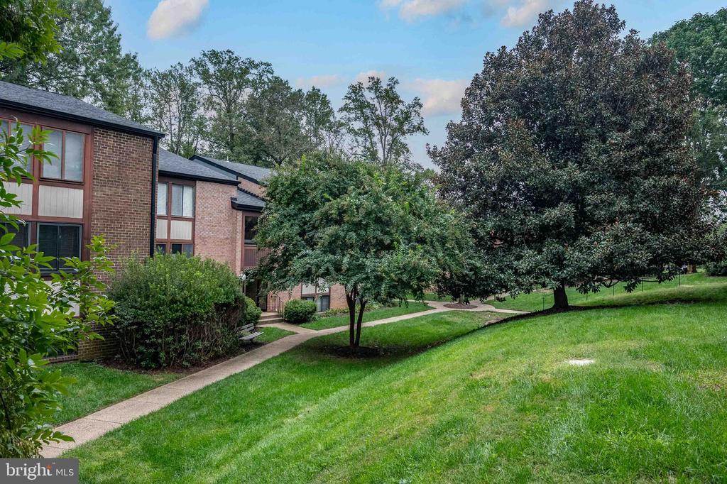 3101 BUCCANEER COURT Unit: 1