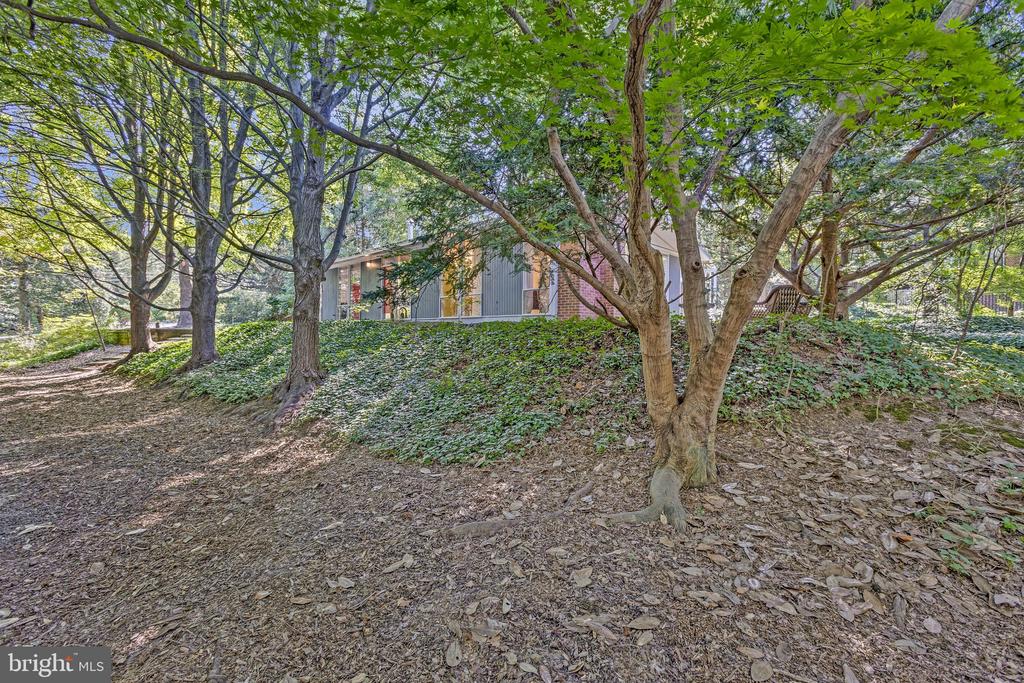 2313 GLASGOW ROAD