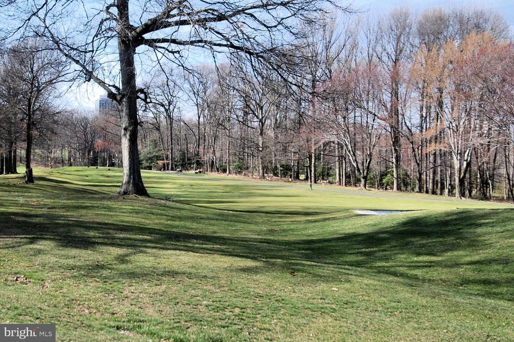 2323 HARLEYFORD COURT