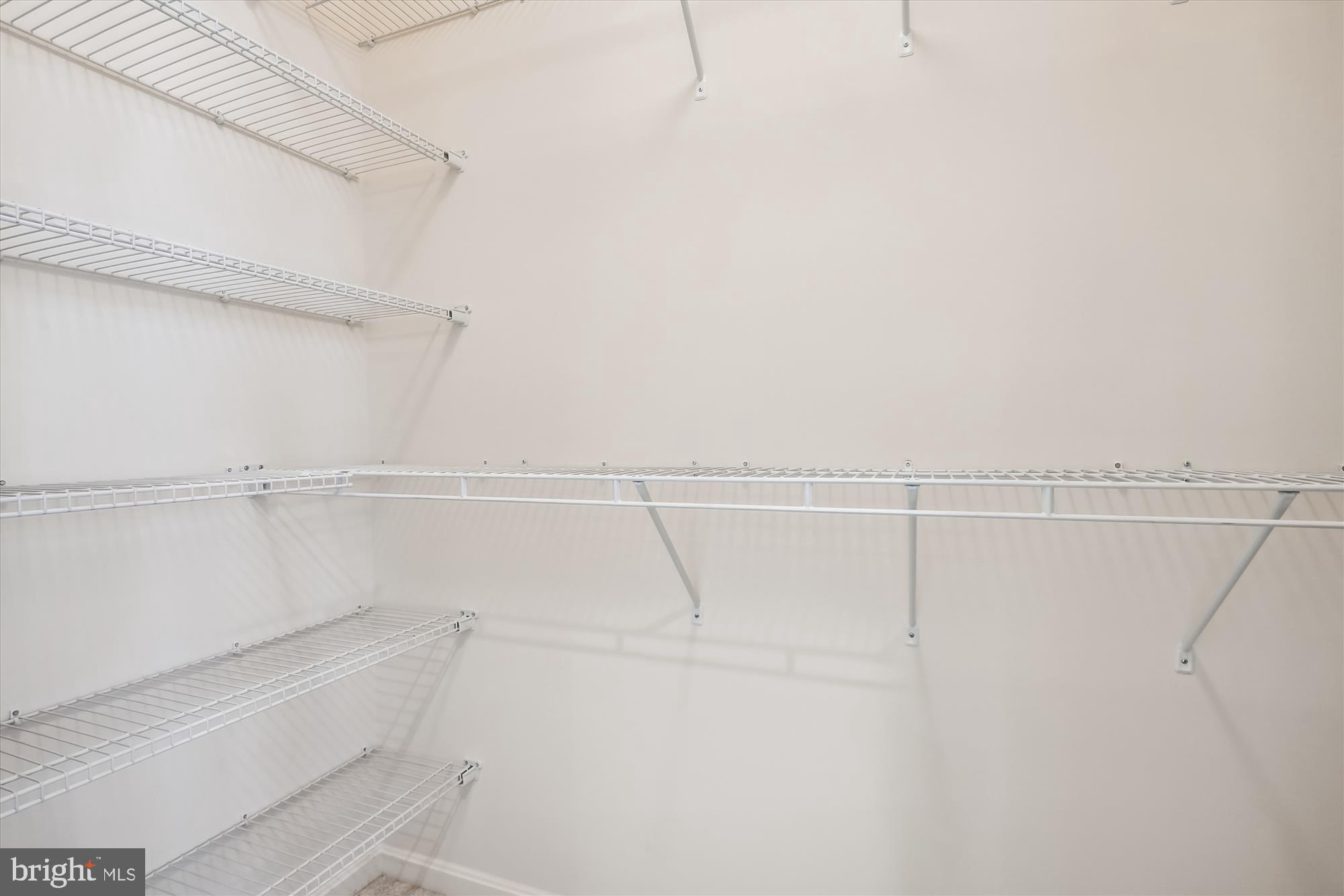 22858 GOLDSBOROUGH TERRACE