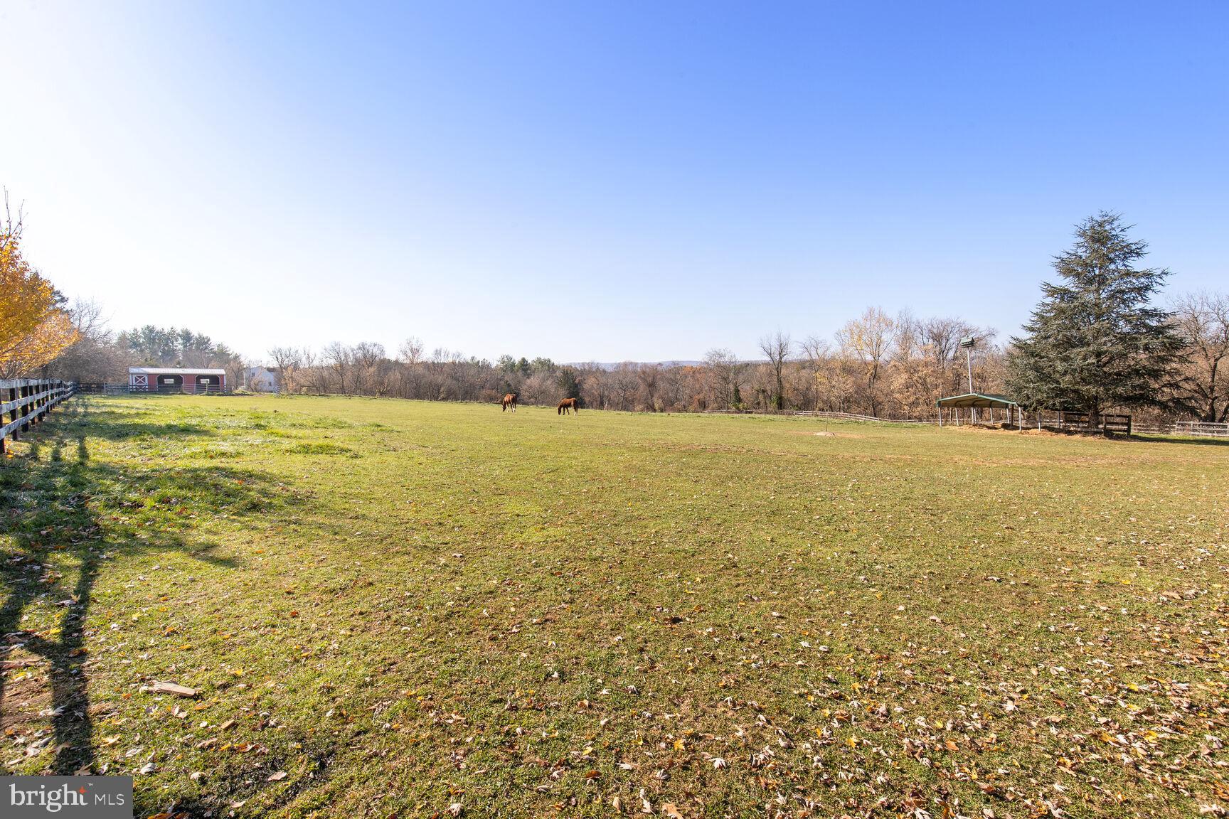 39595 WEATHERLEA FARM LANE