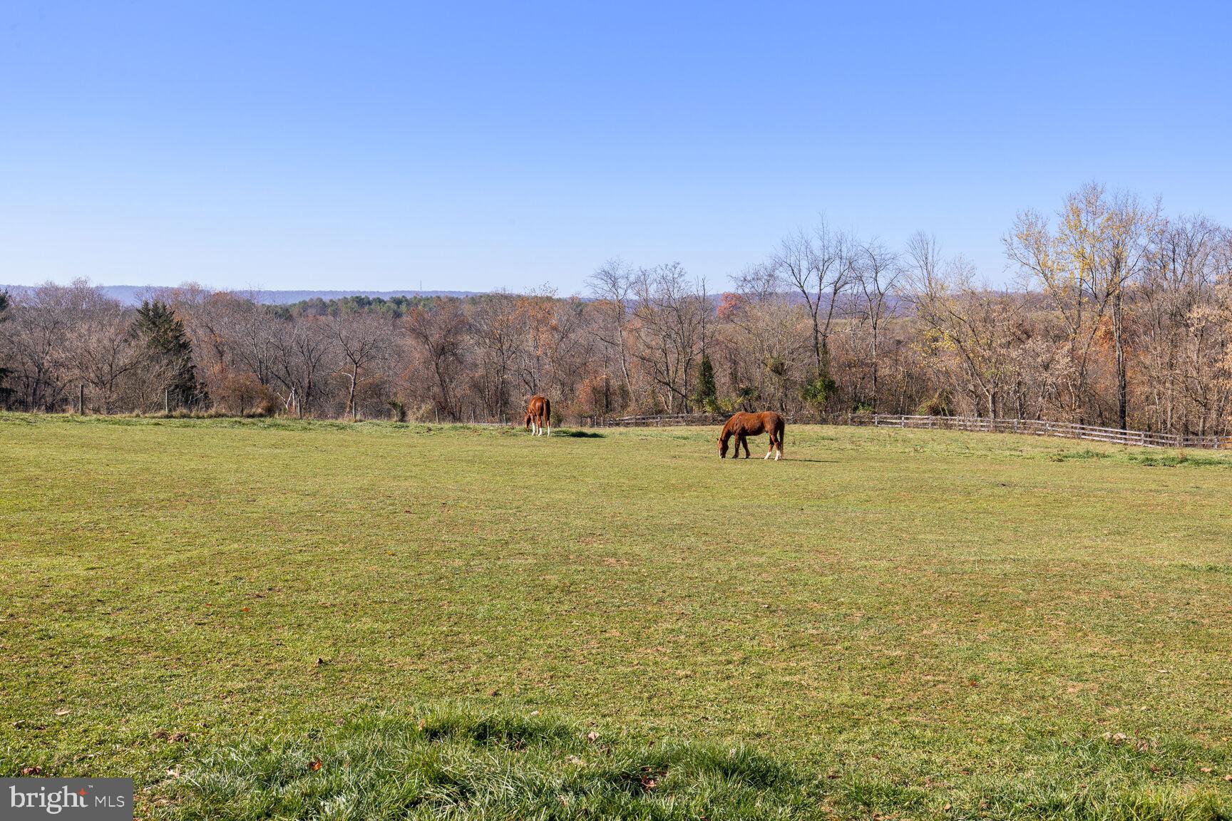 39595 WEATHERLEA FARM LANE