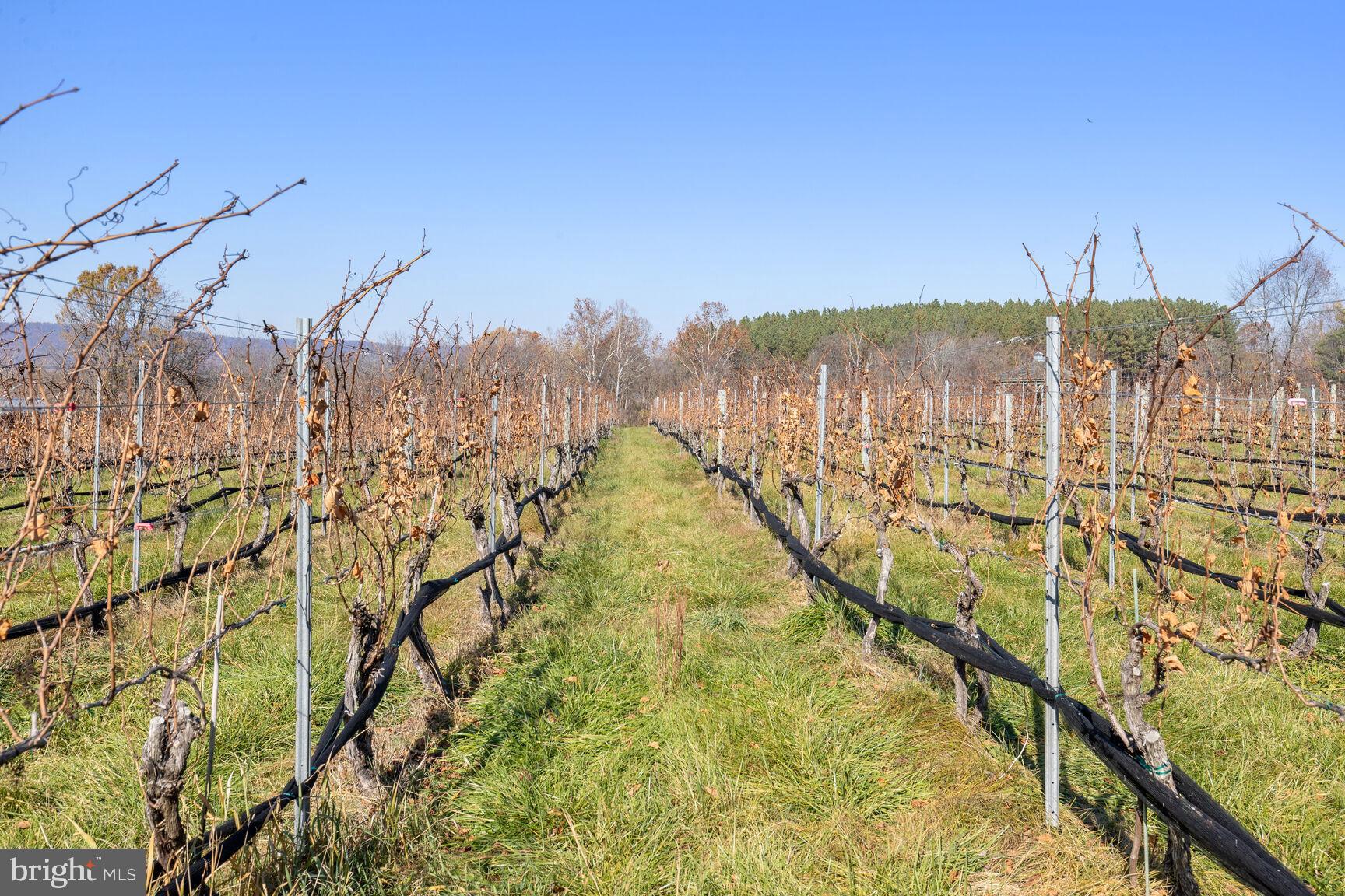 39595 WEATHERLEA FARM LANE