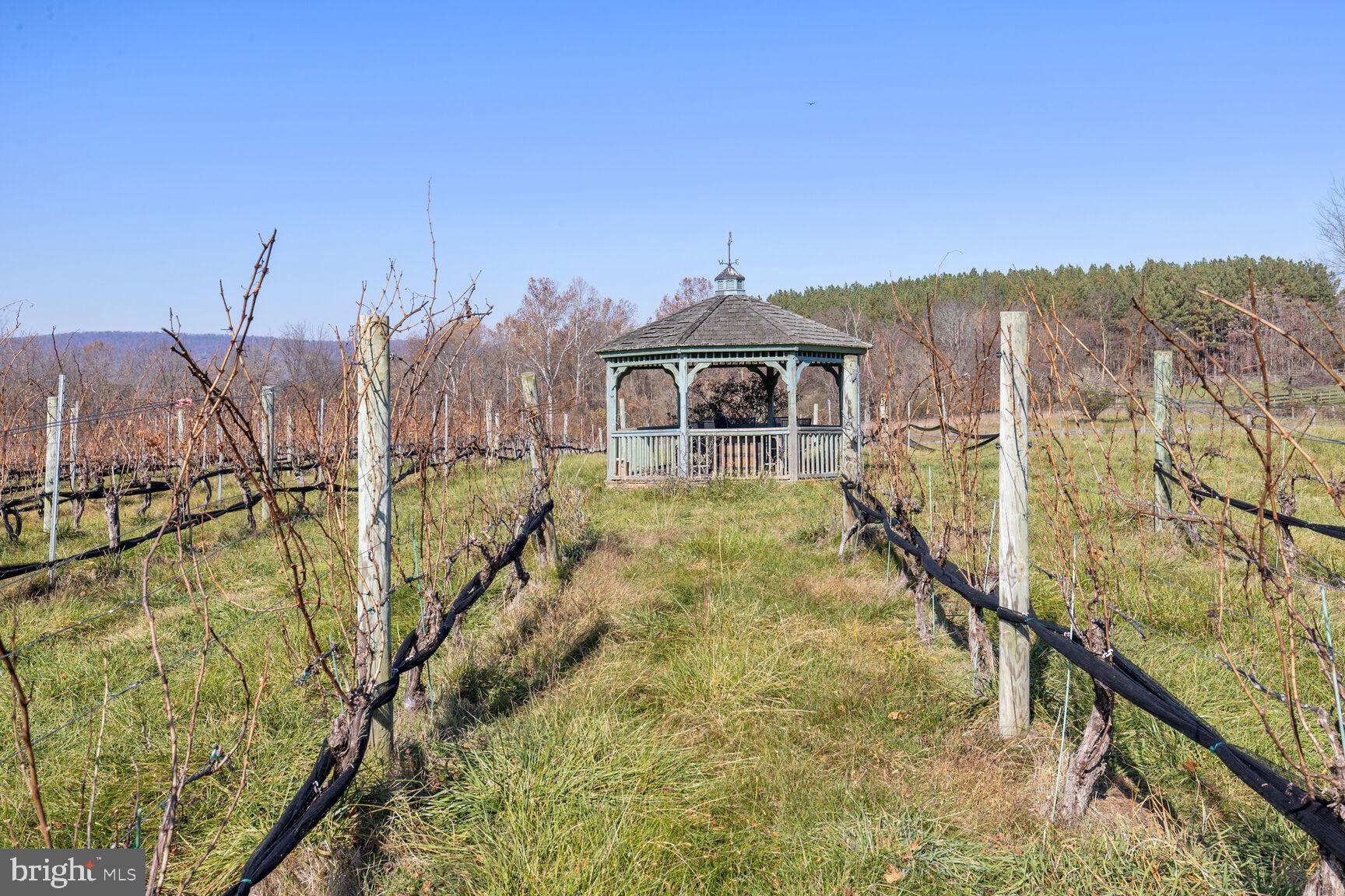 39595 WEATHERLEA FARM LANE