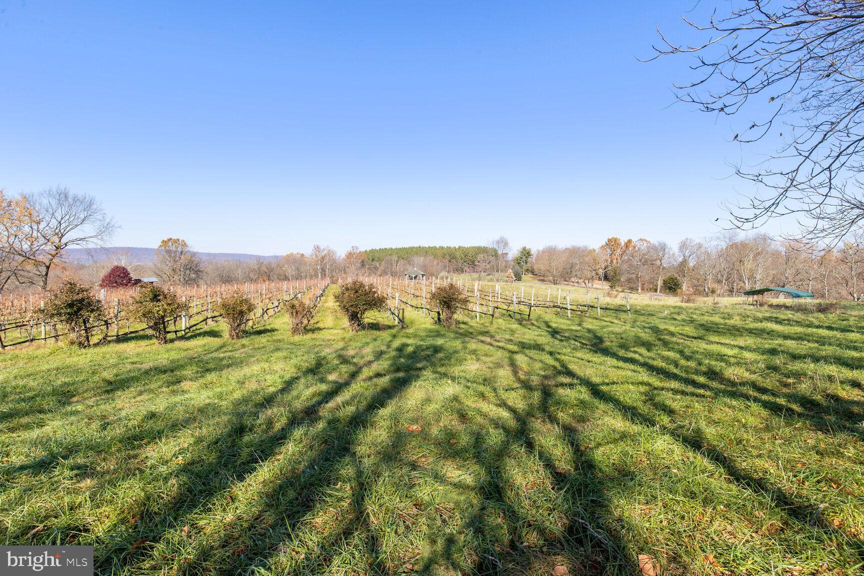 39595 WEATHERLEA FARM LANE