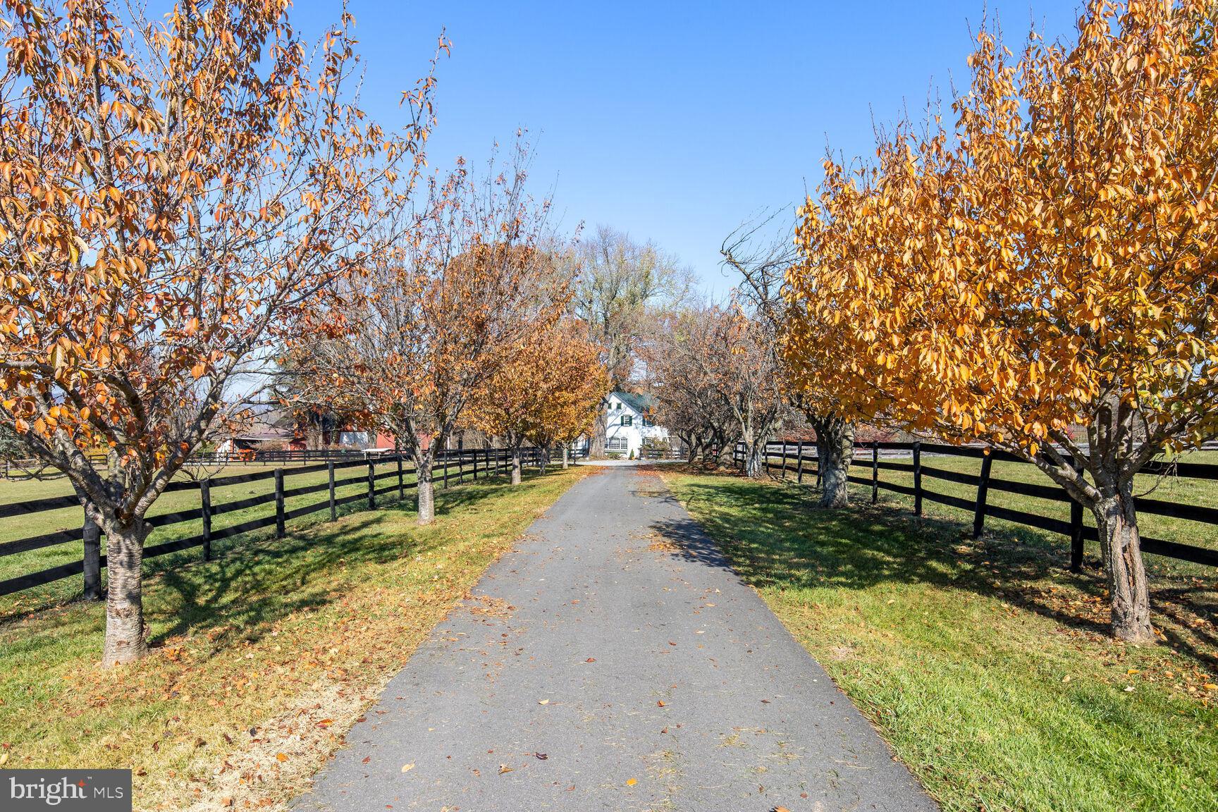 39595 WEATHERLEA FARM LANE