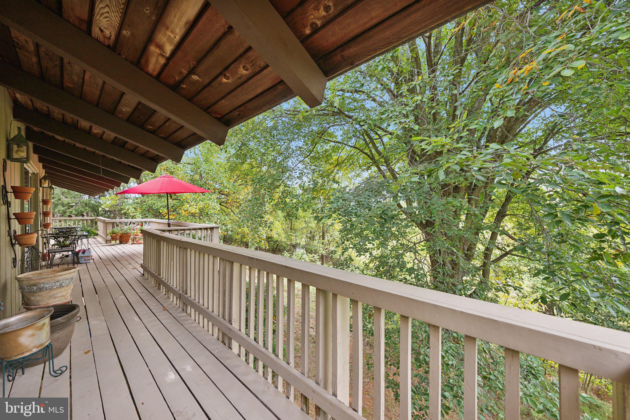 39773 THOMAS MILL ROAD