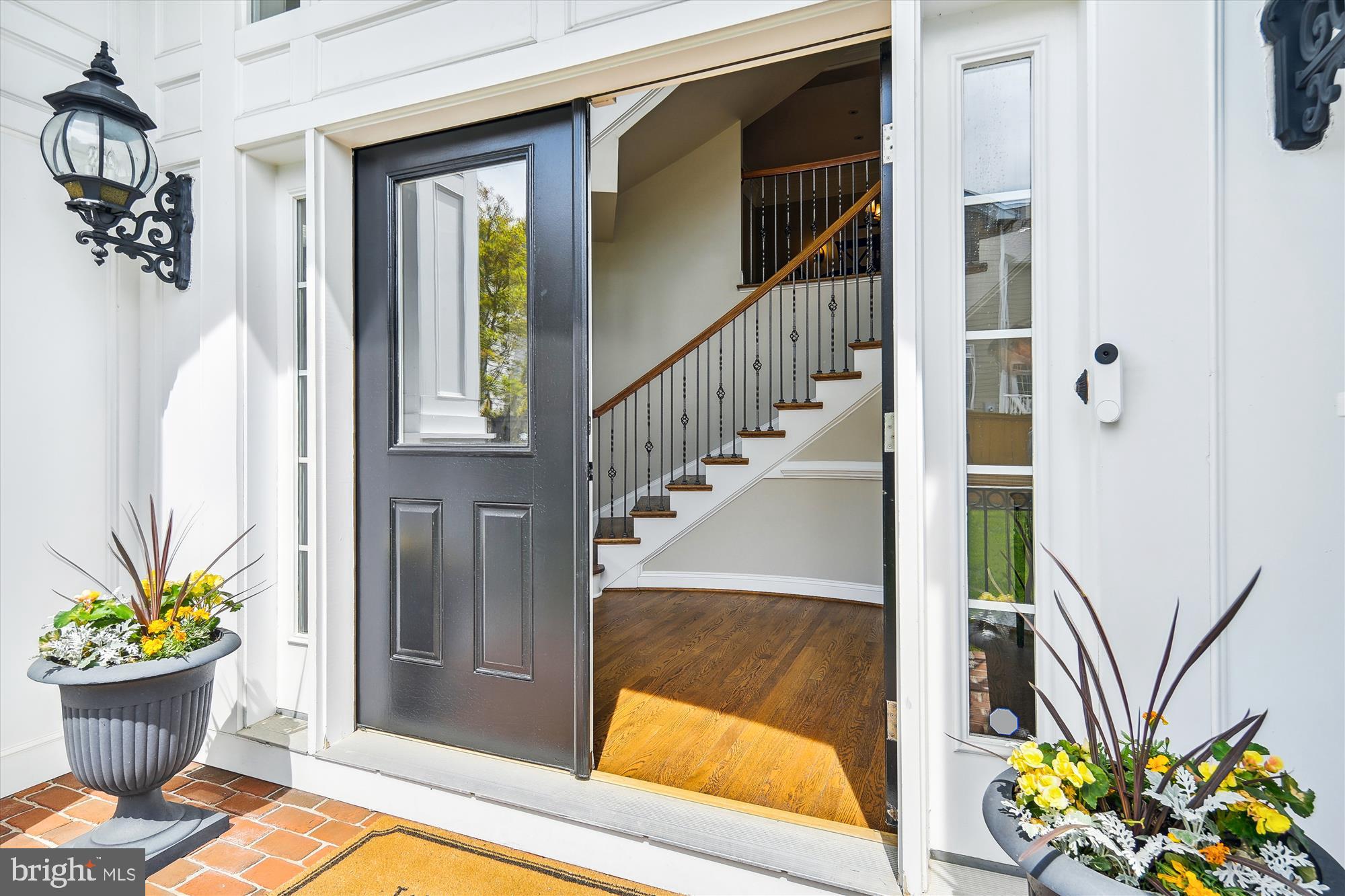 43578 WILD GINGER TERRACE
