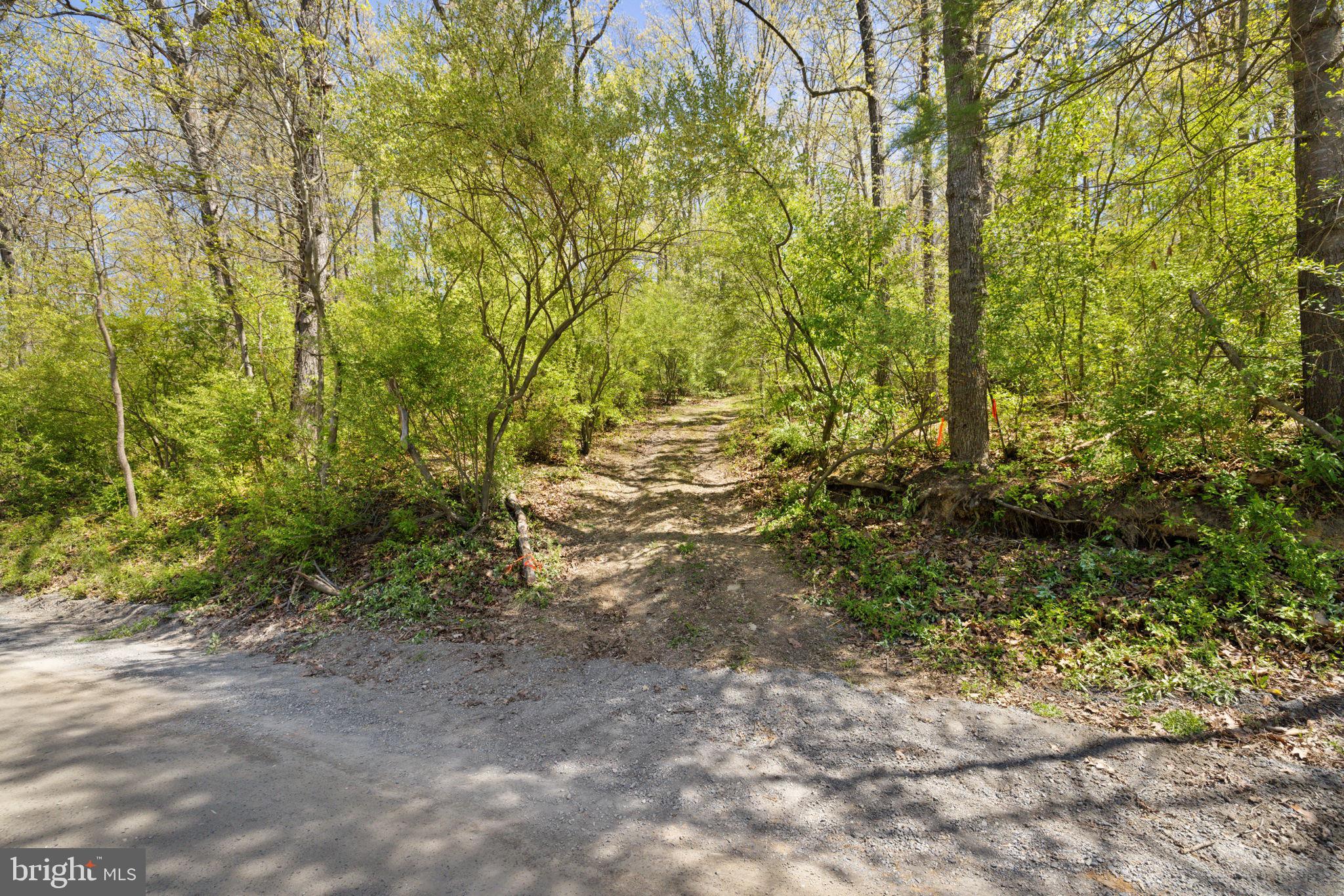 SHELBURNE GLEBE ROAD