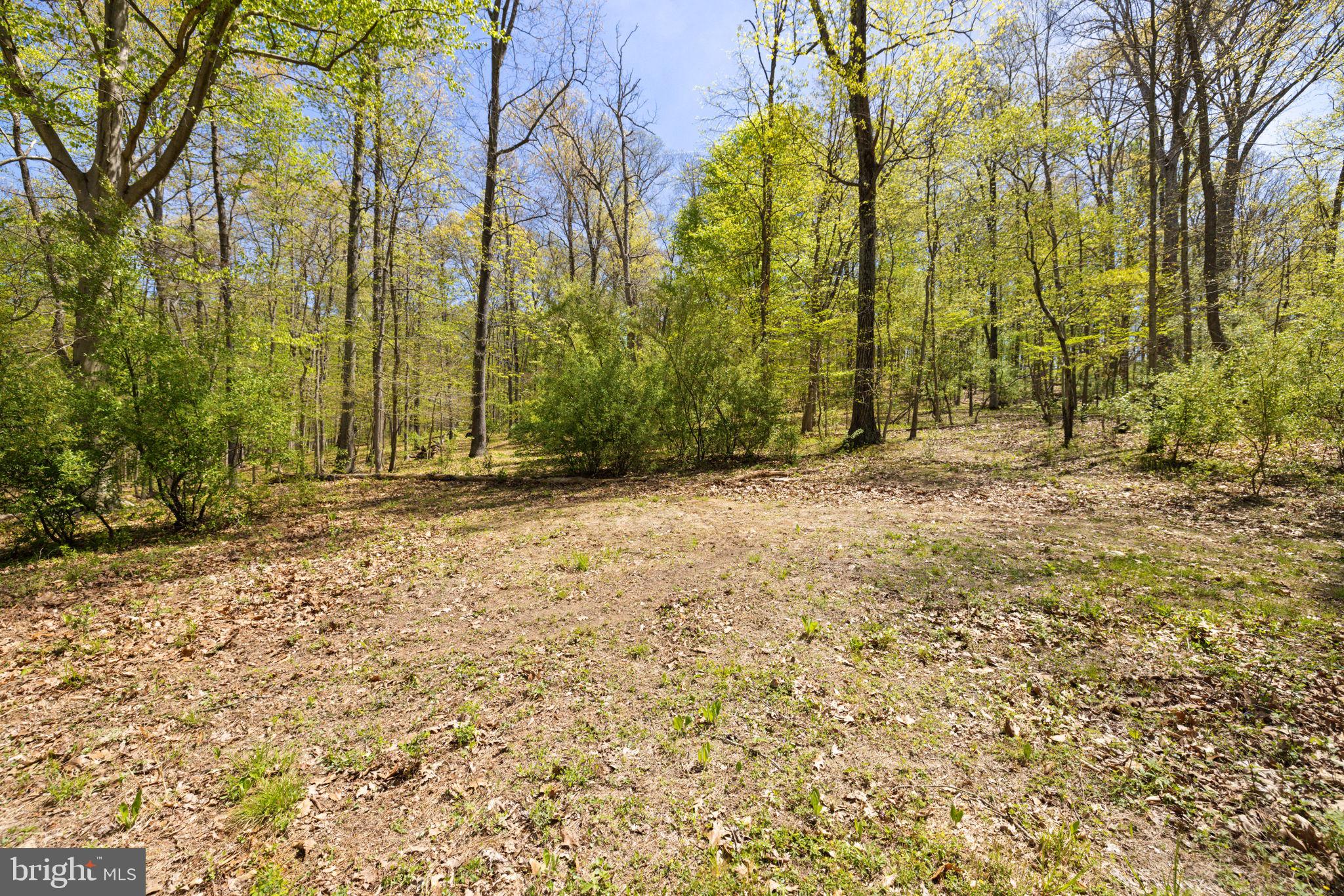 SHELBURNE GLEBE ROAD