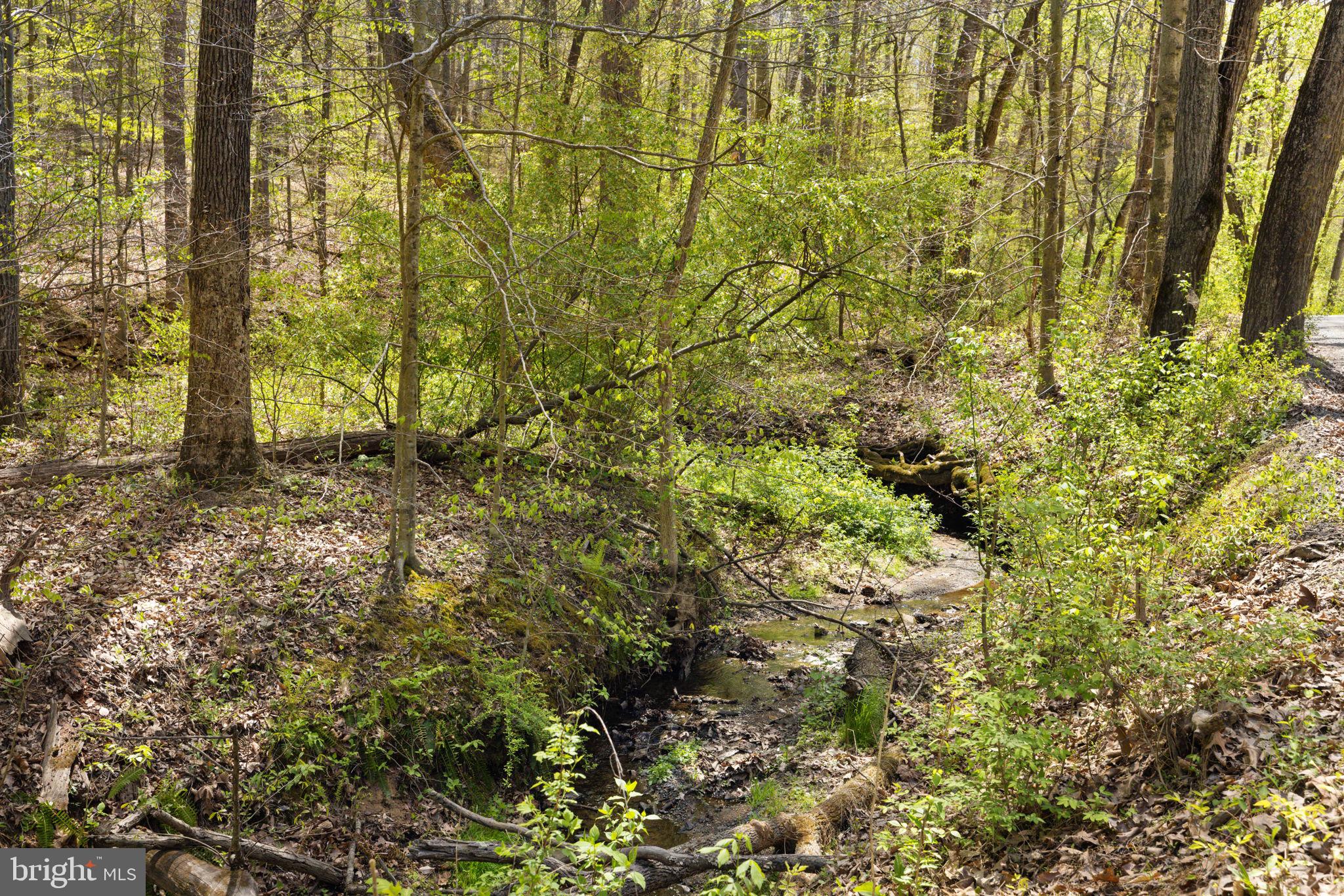 SHELBURNE GLEBE ROAD