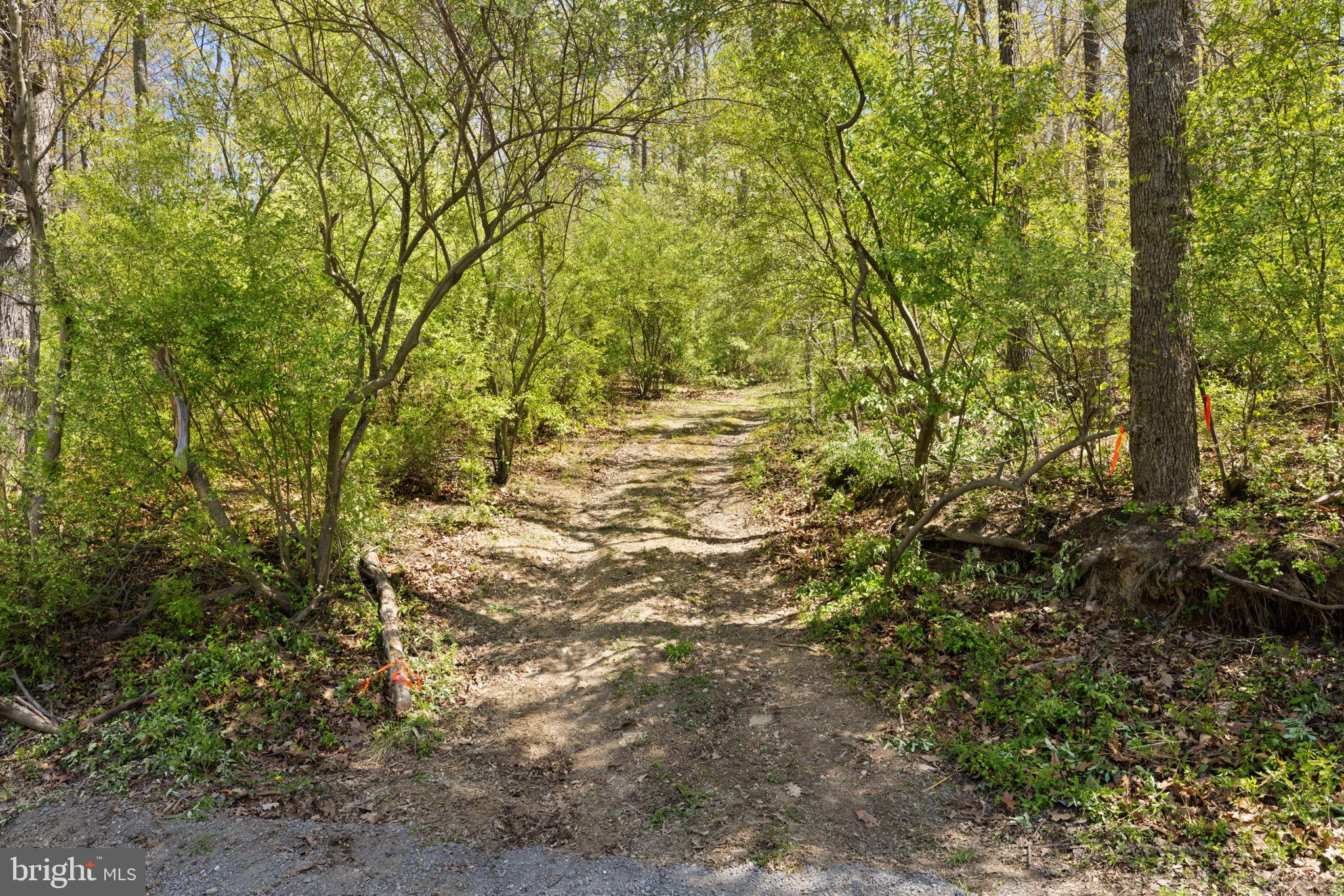 SHELBURNE GLEBE ROAD