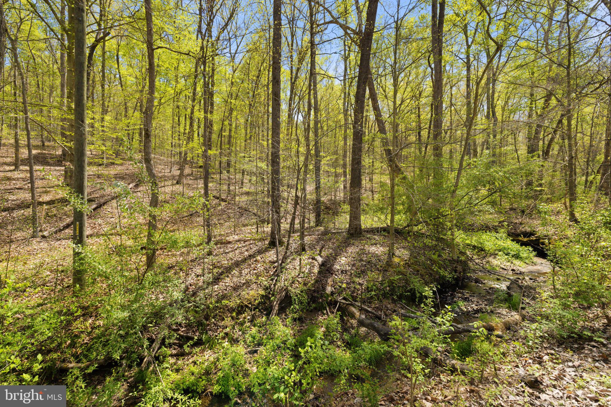 SHELBURNE GLEBE ROAD
