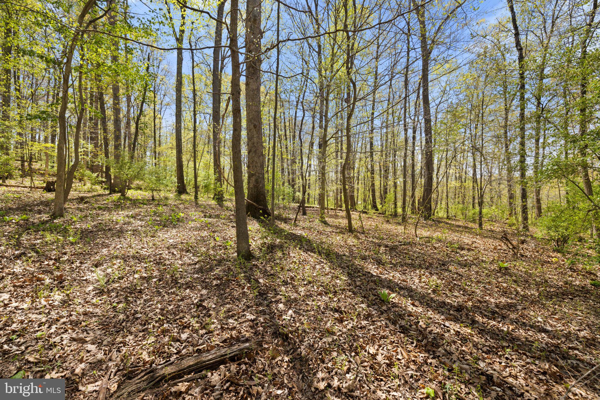 SHELBURNE GLEBE ROAD