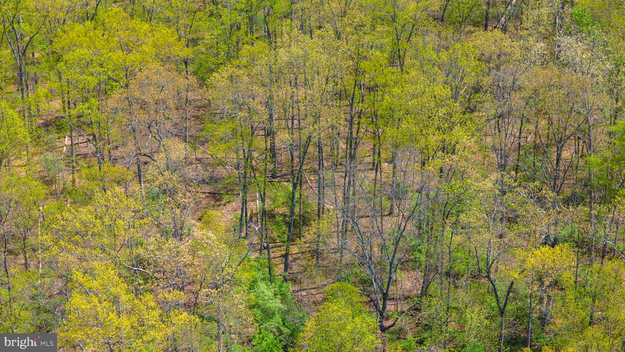 SHELBURNE GLEBE ROAD