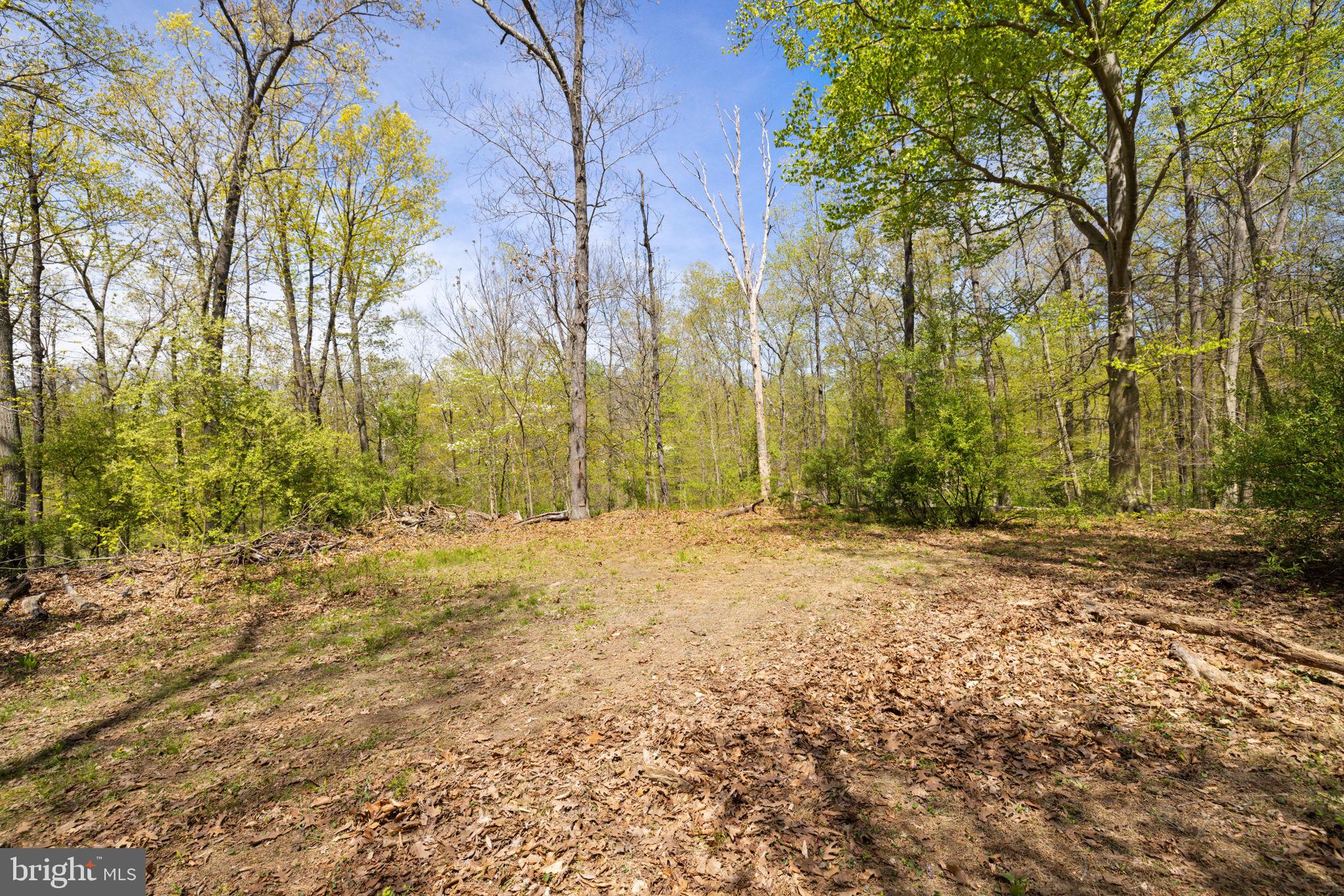 SHELBURNE GLEBE ROAD