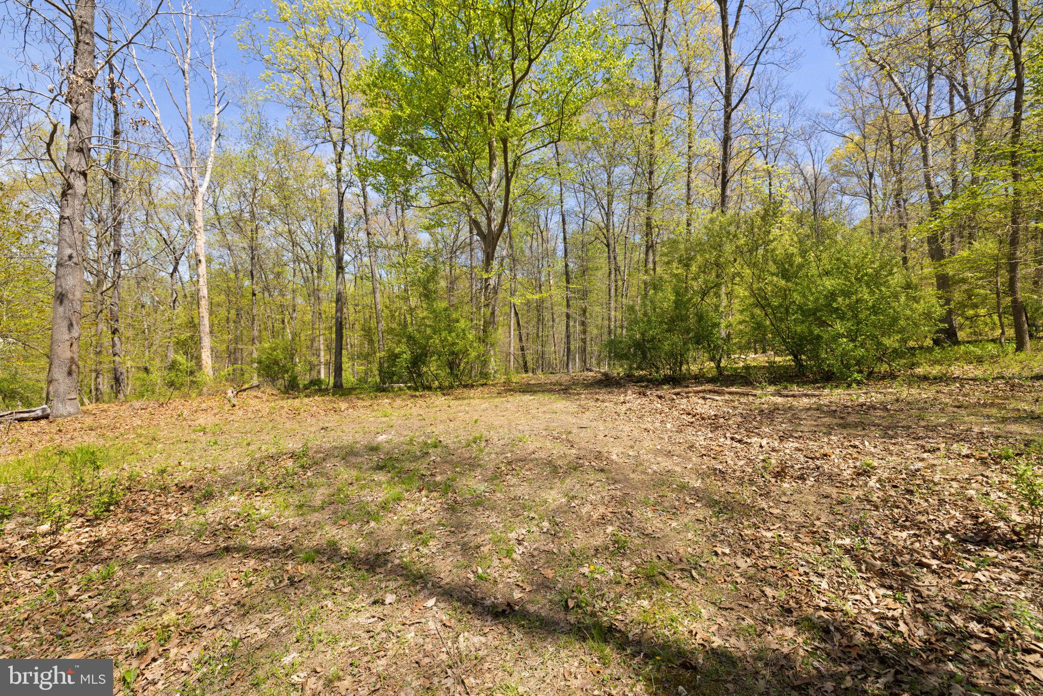 SHELBURNE GLEBE ROAD