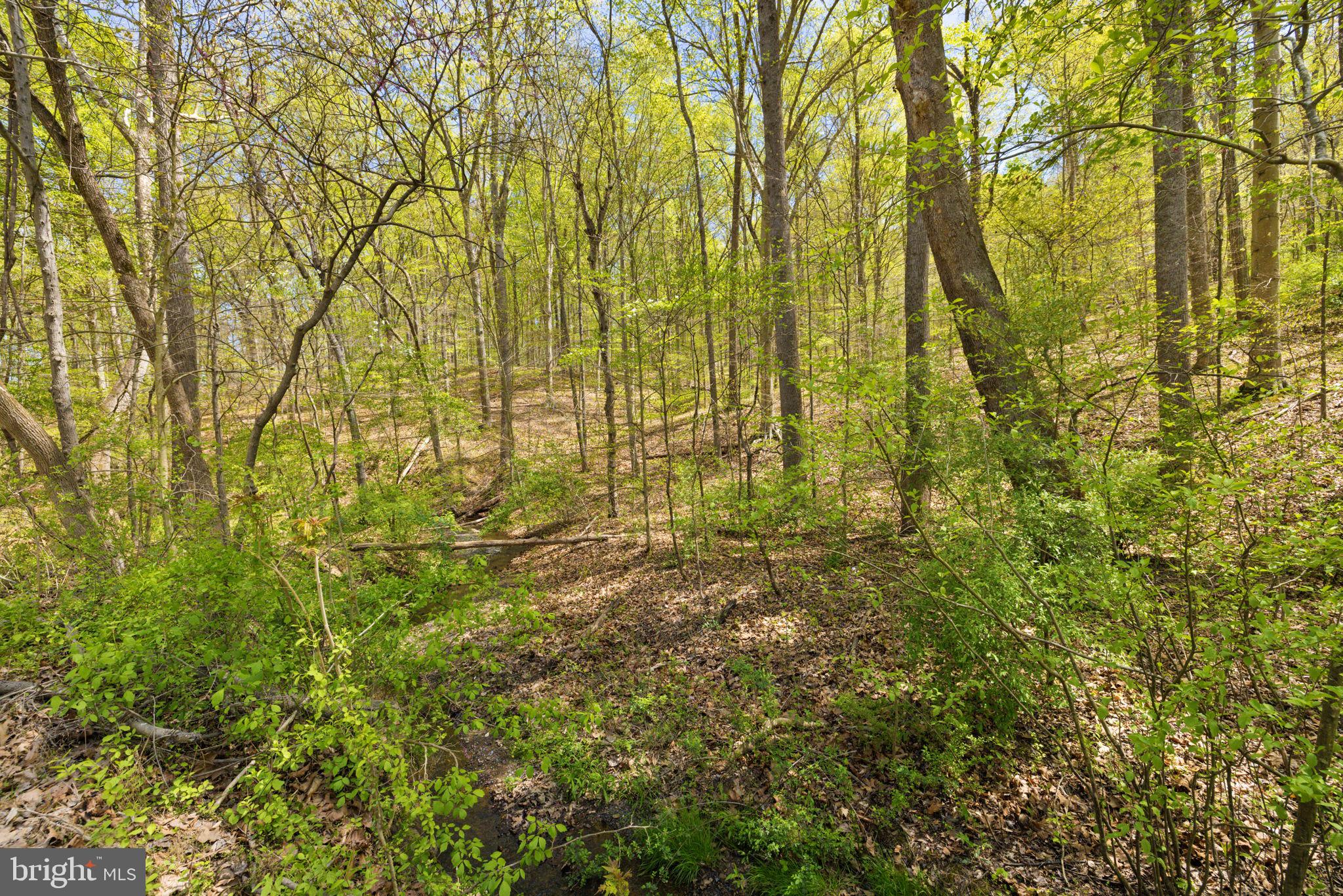 SHELBURNE GLEBE ROAD