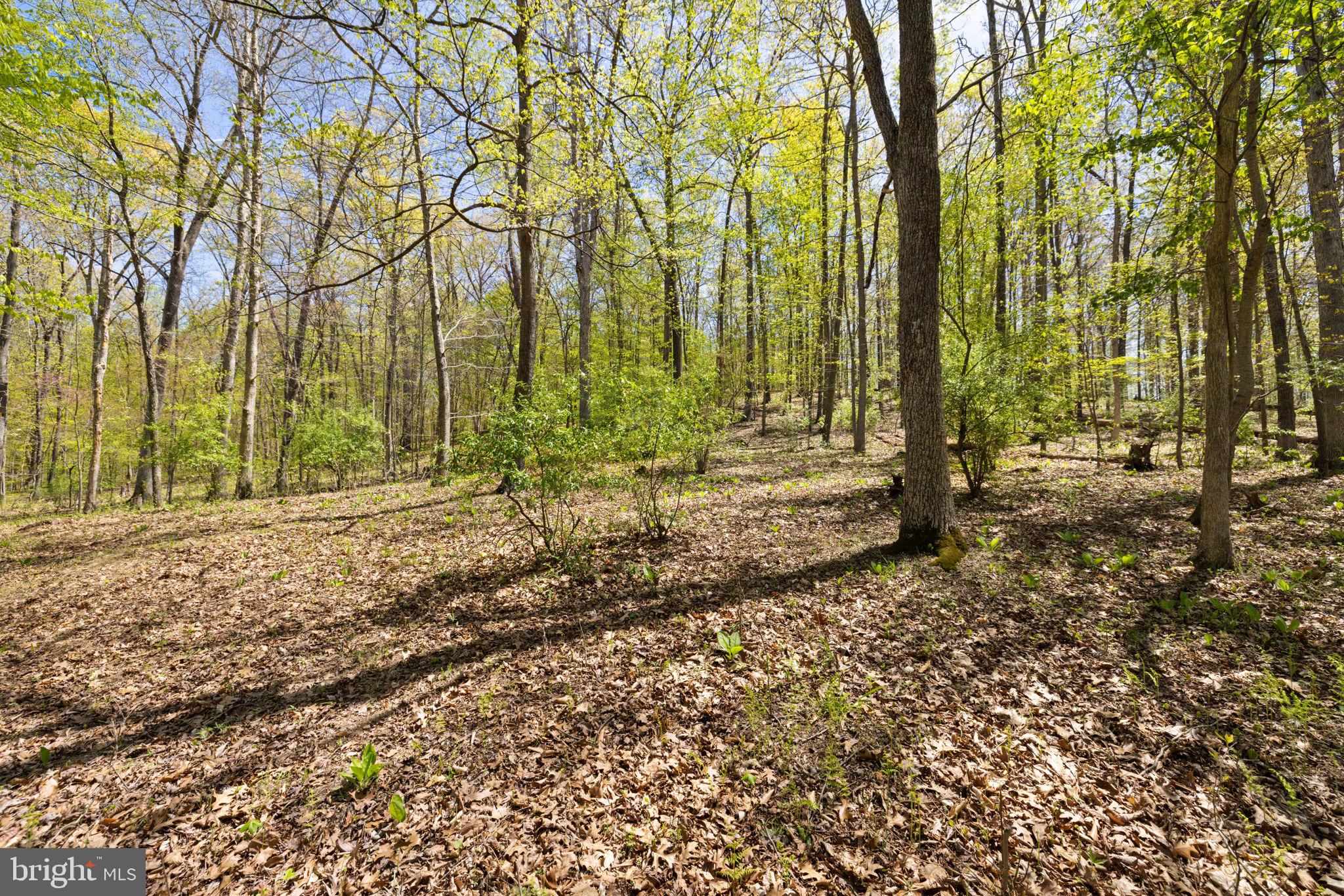SHELBURNE GLEBE ROAD