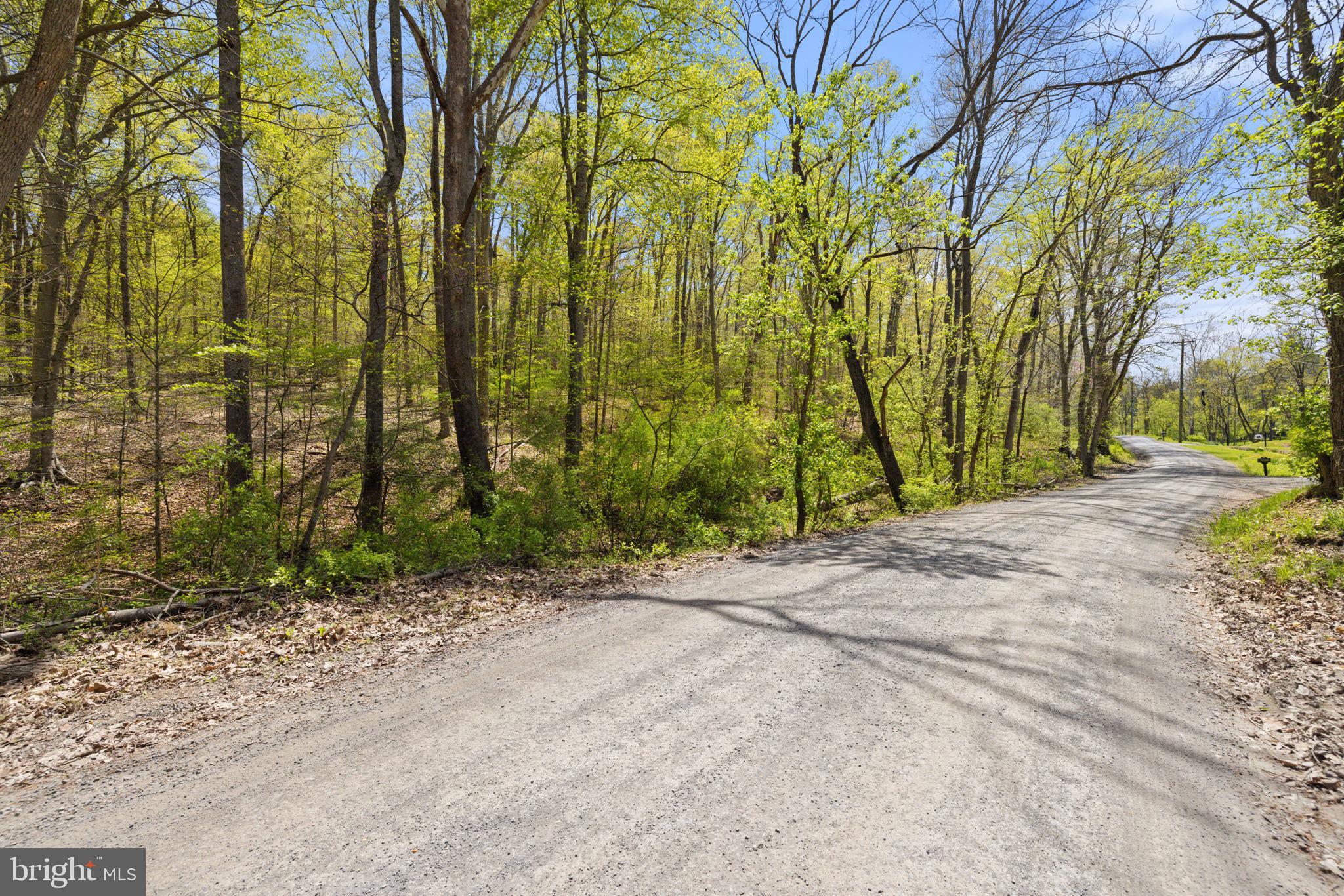 SHELBURNE GLEBE ROAD