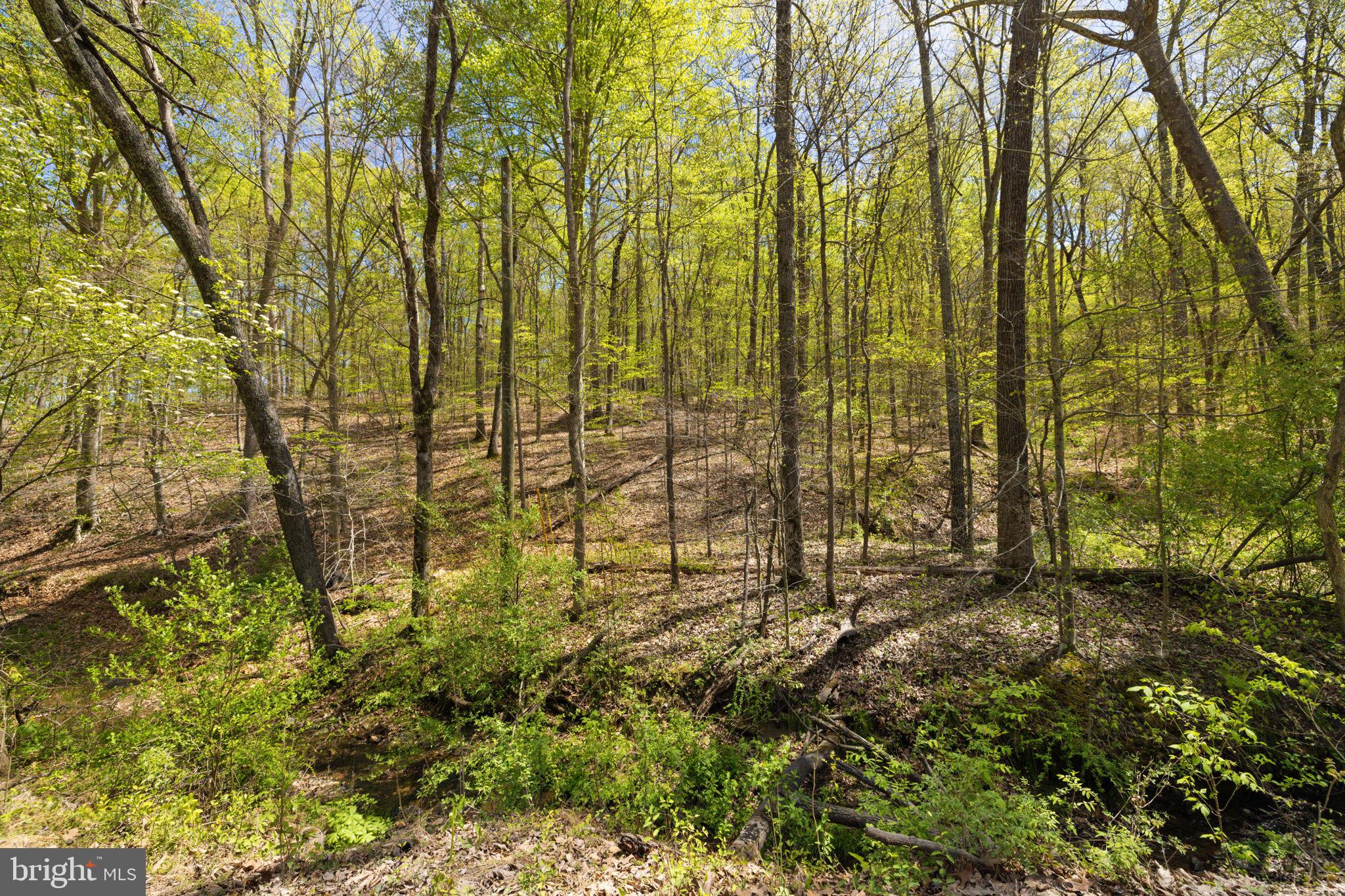 SHELBURNE GLEBE ROAD