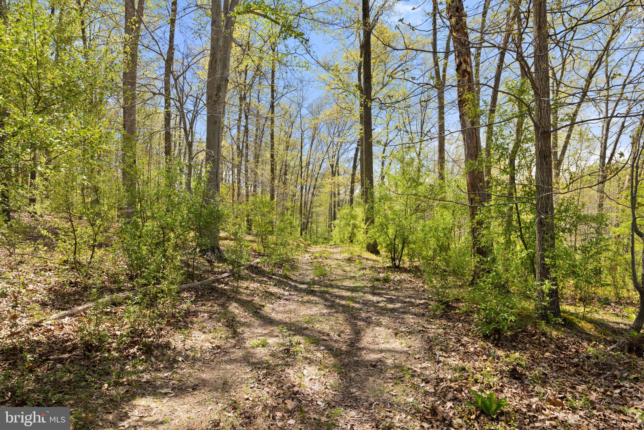 SHELBURNE GLEBE ROAD