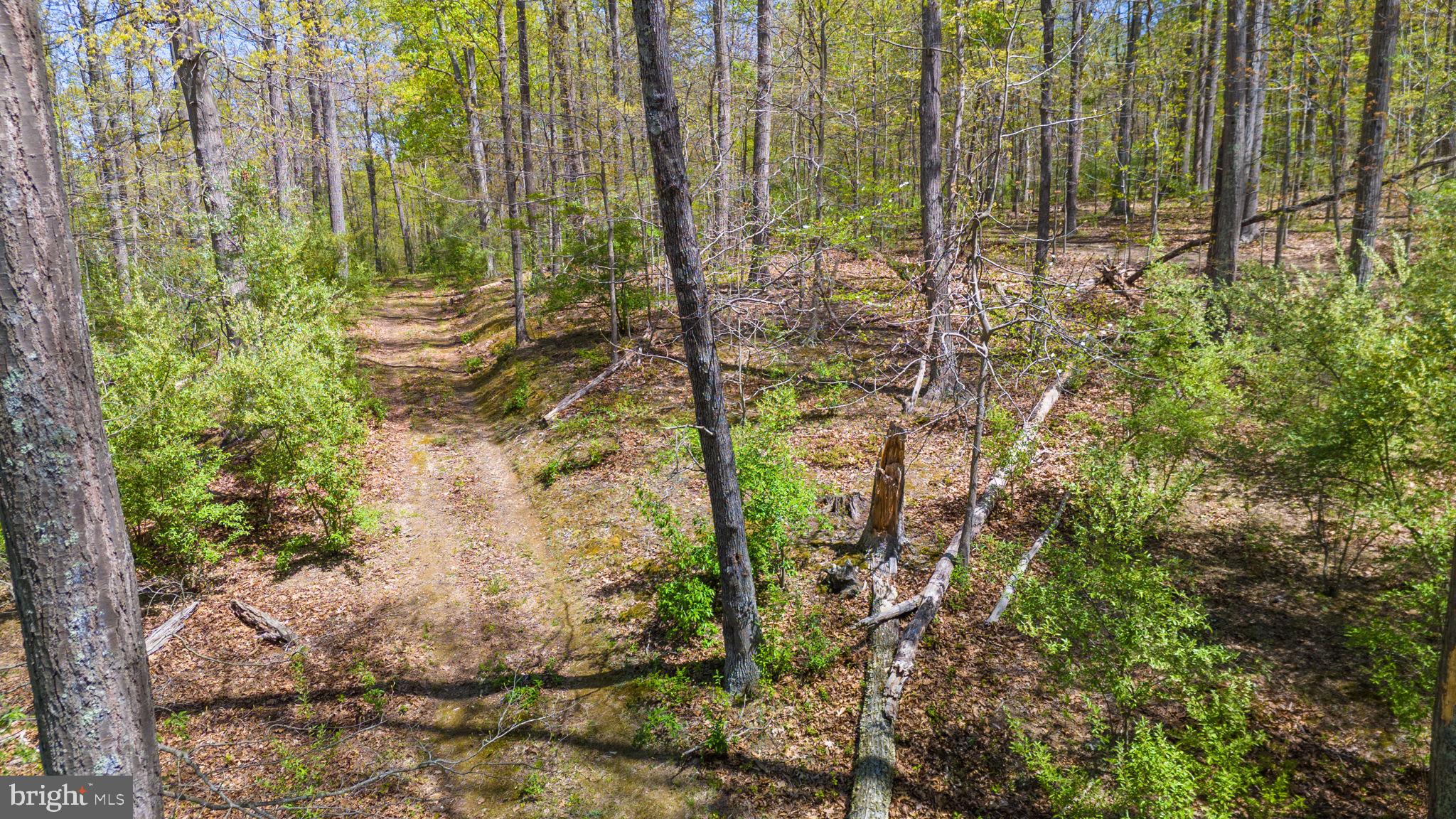 SHELBURNE GLEBE ROAD