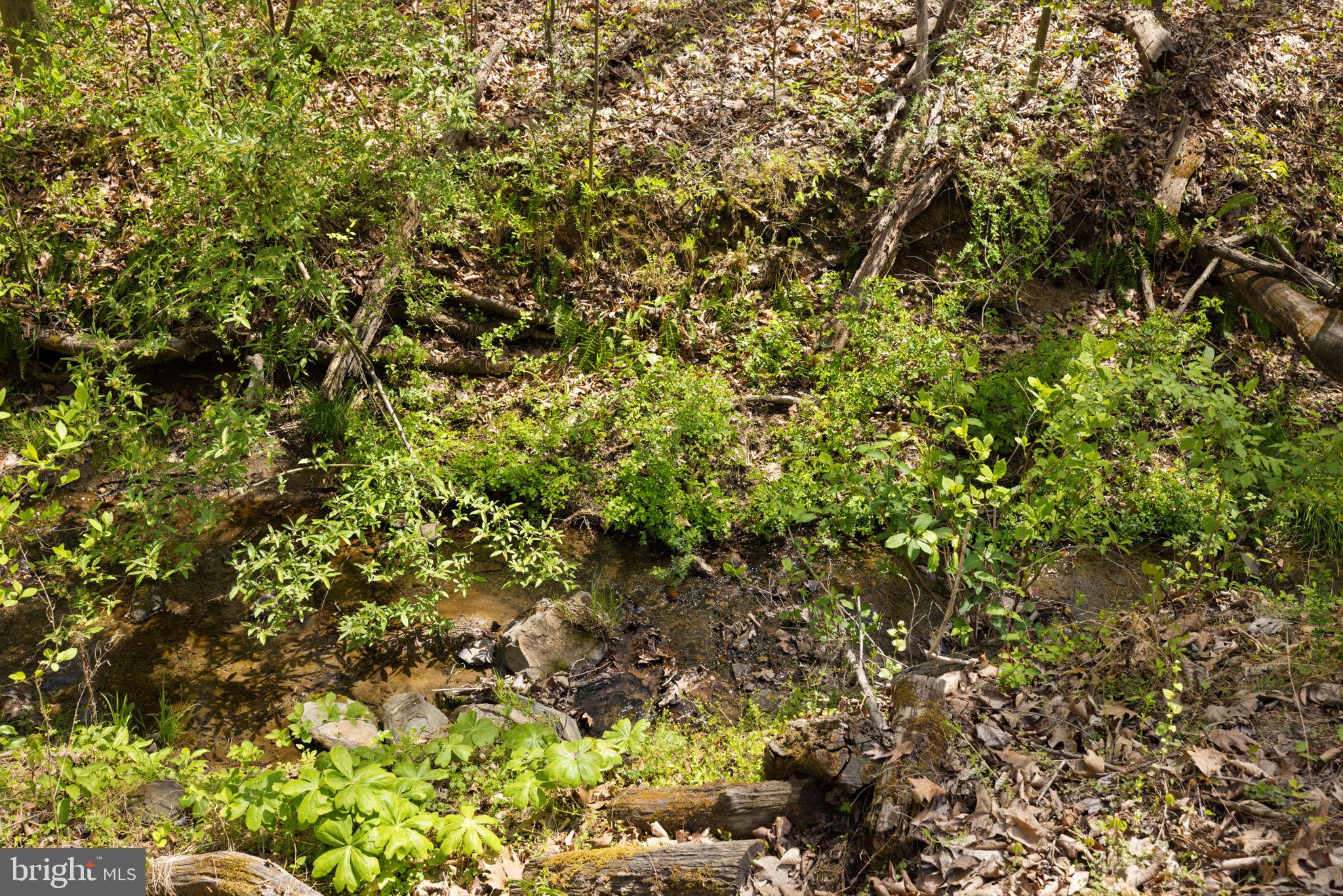 SHELBURNE GLEBE ROAD