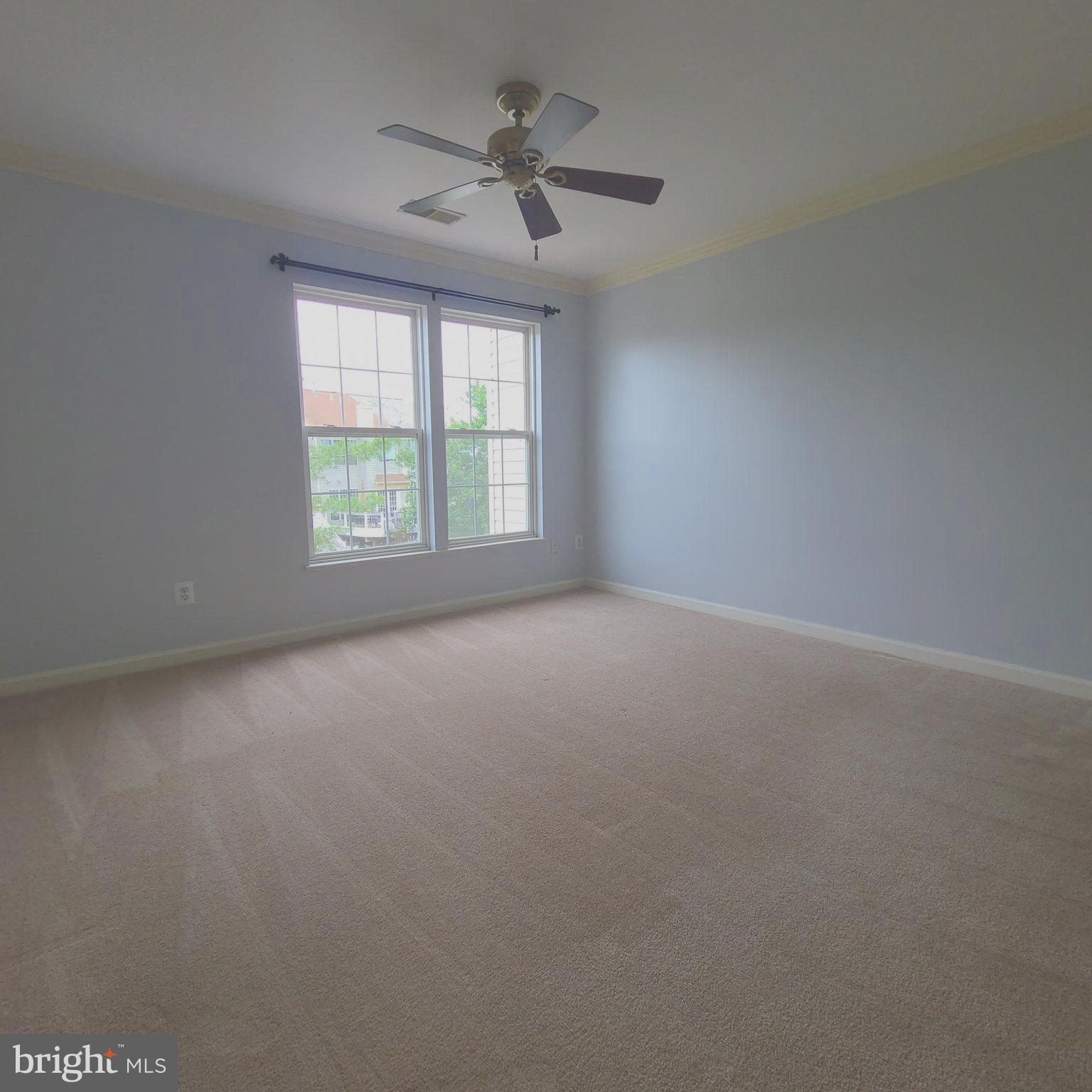 43393 CHOKEBERRY SQUARE