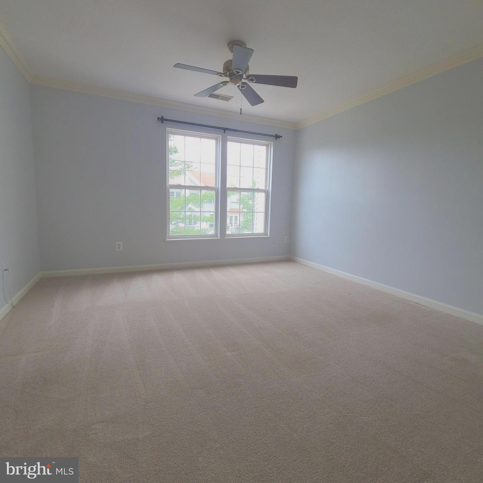 43393 CHOKEBERRY SQUARE