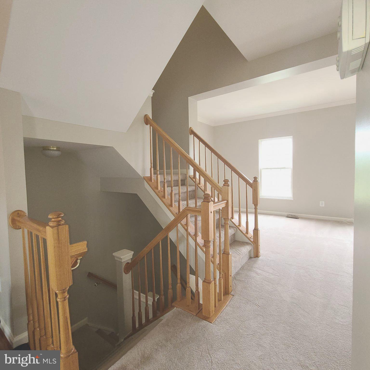 43393 CHOKEBERRY SQUARE