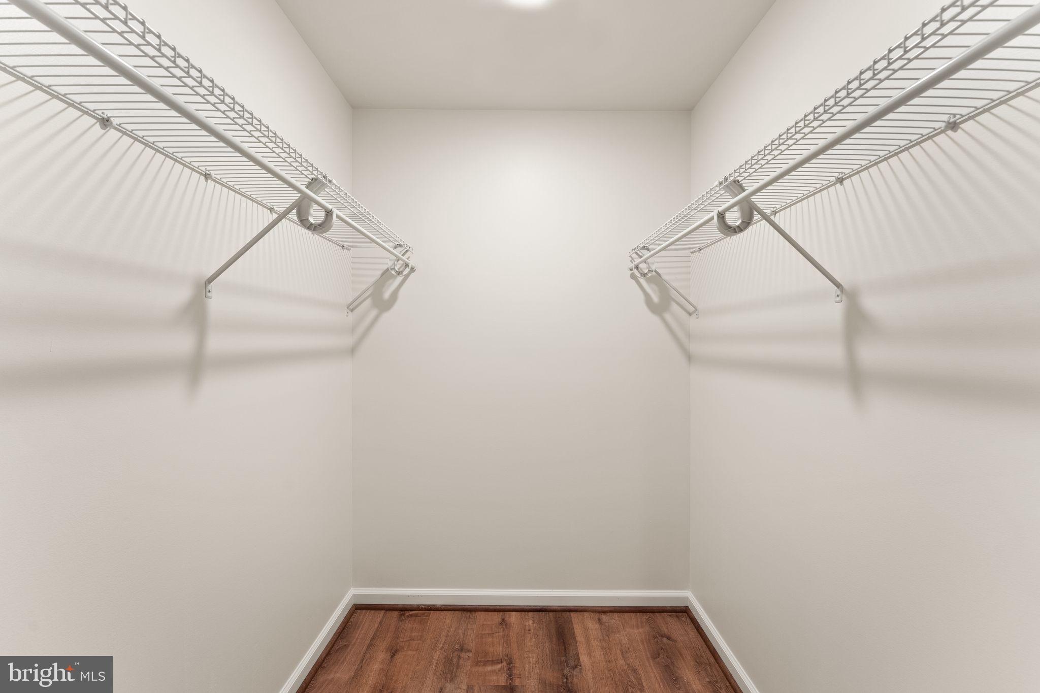 41460 LUCKY DRAW STREET